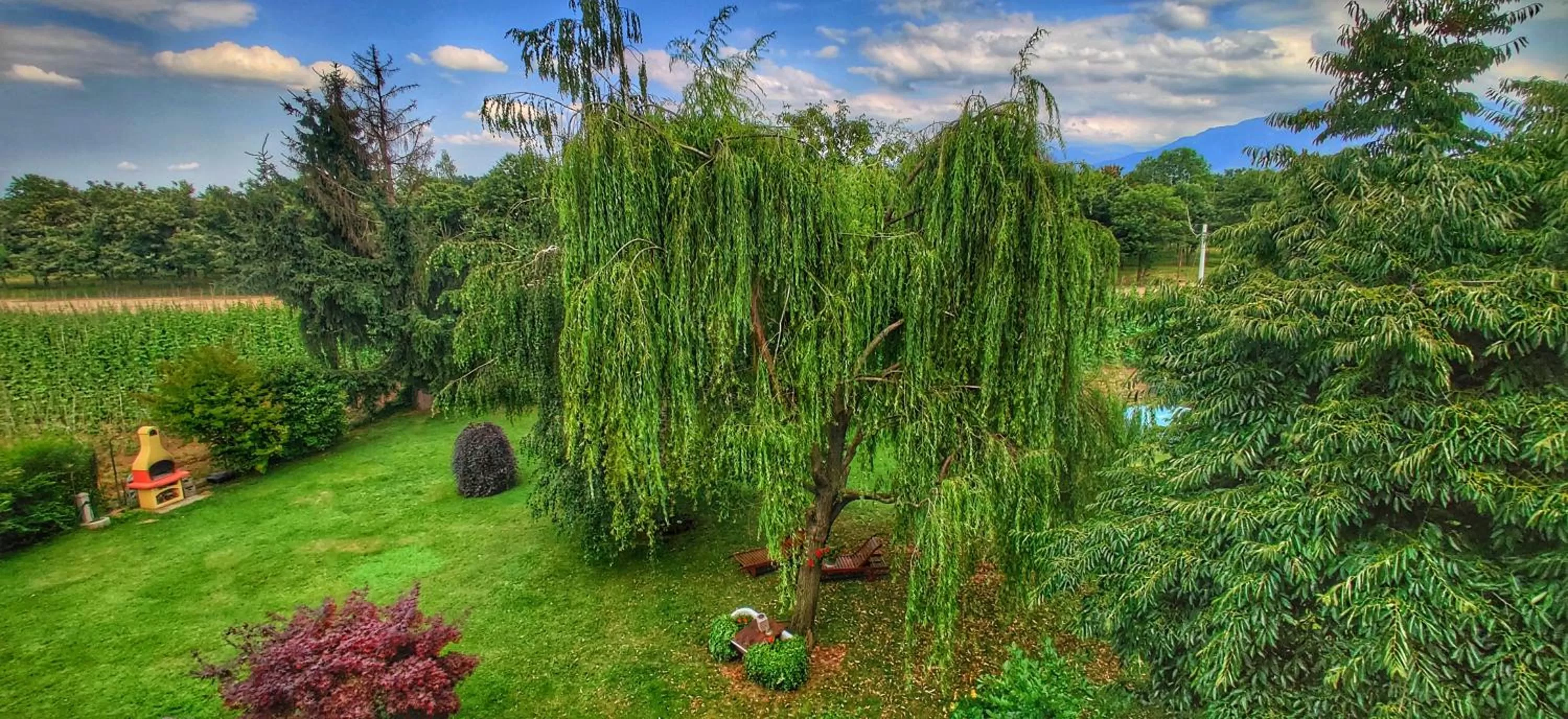 Bed & Breakfast Milù