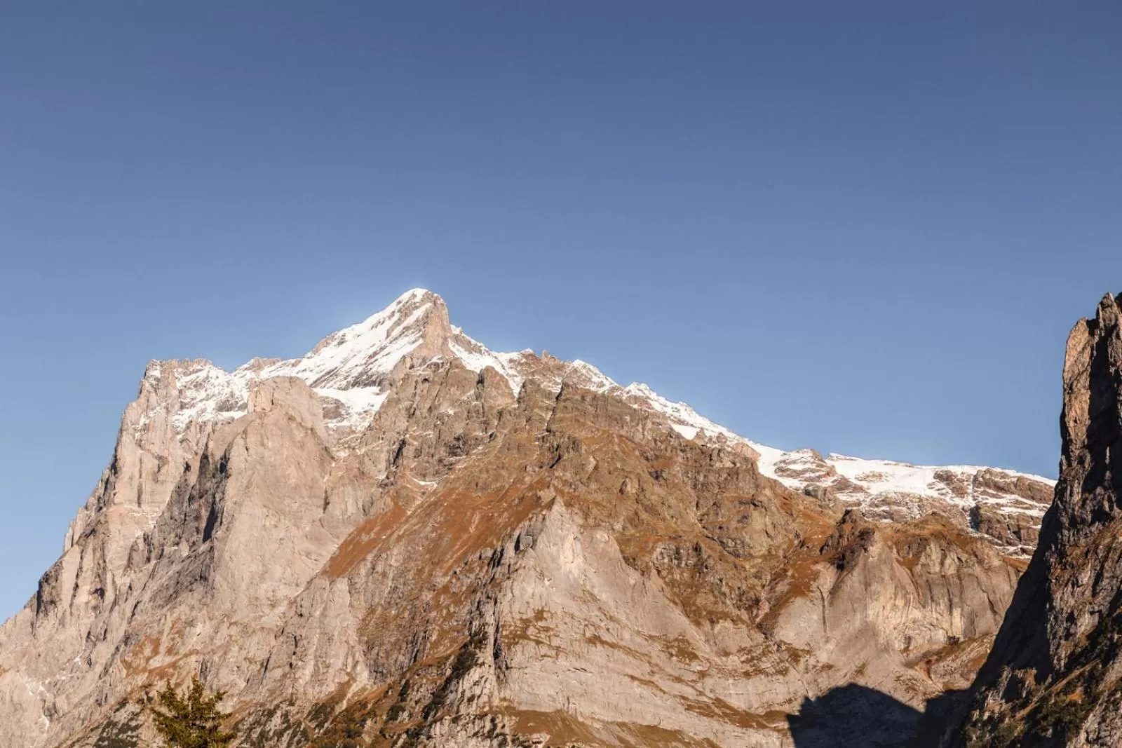 View (from property/room) in Hotel Fiescherblick