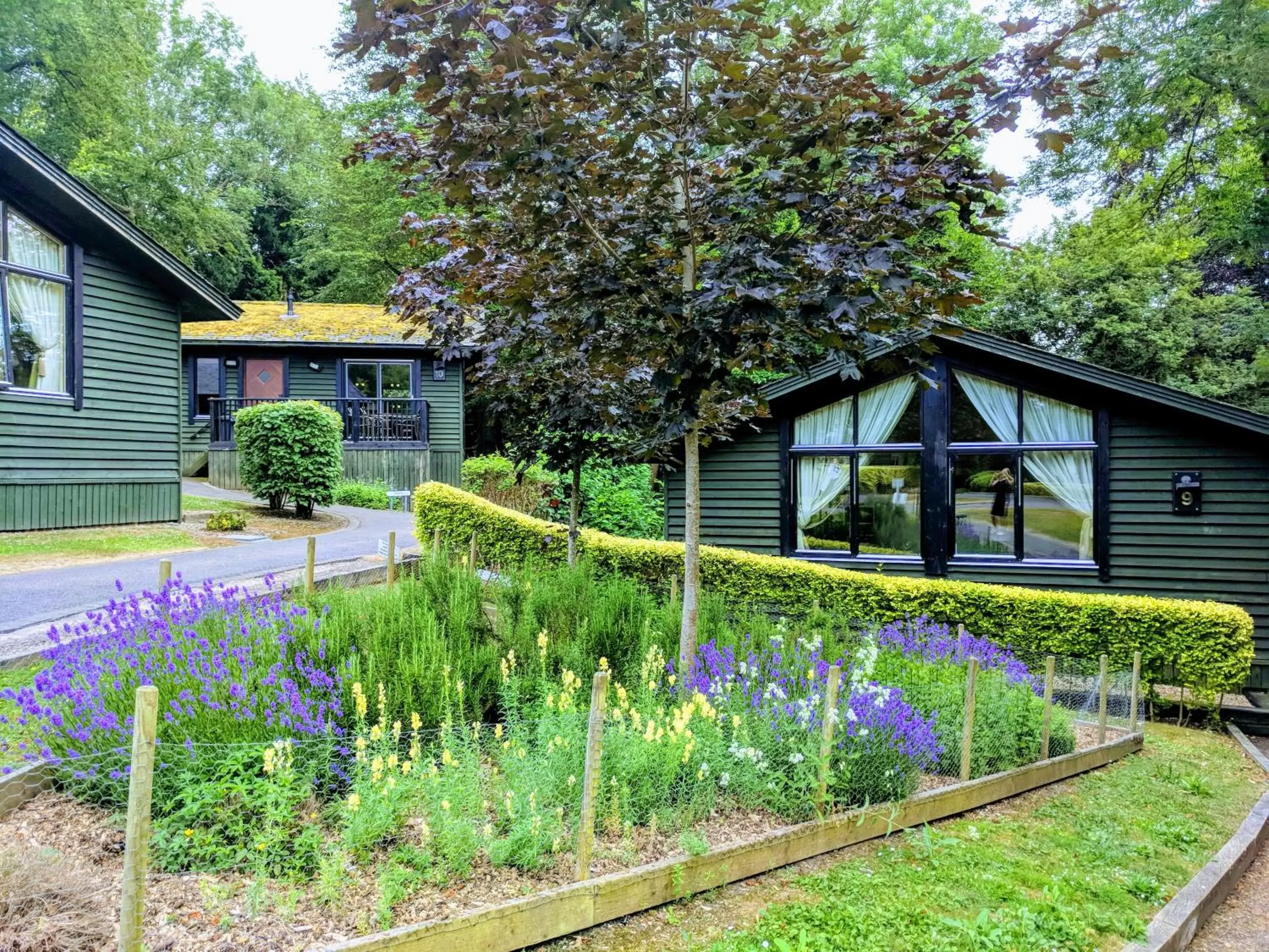 Garden, Property Building in Broome Park Hotel