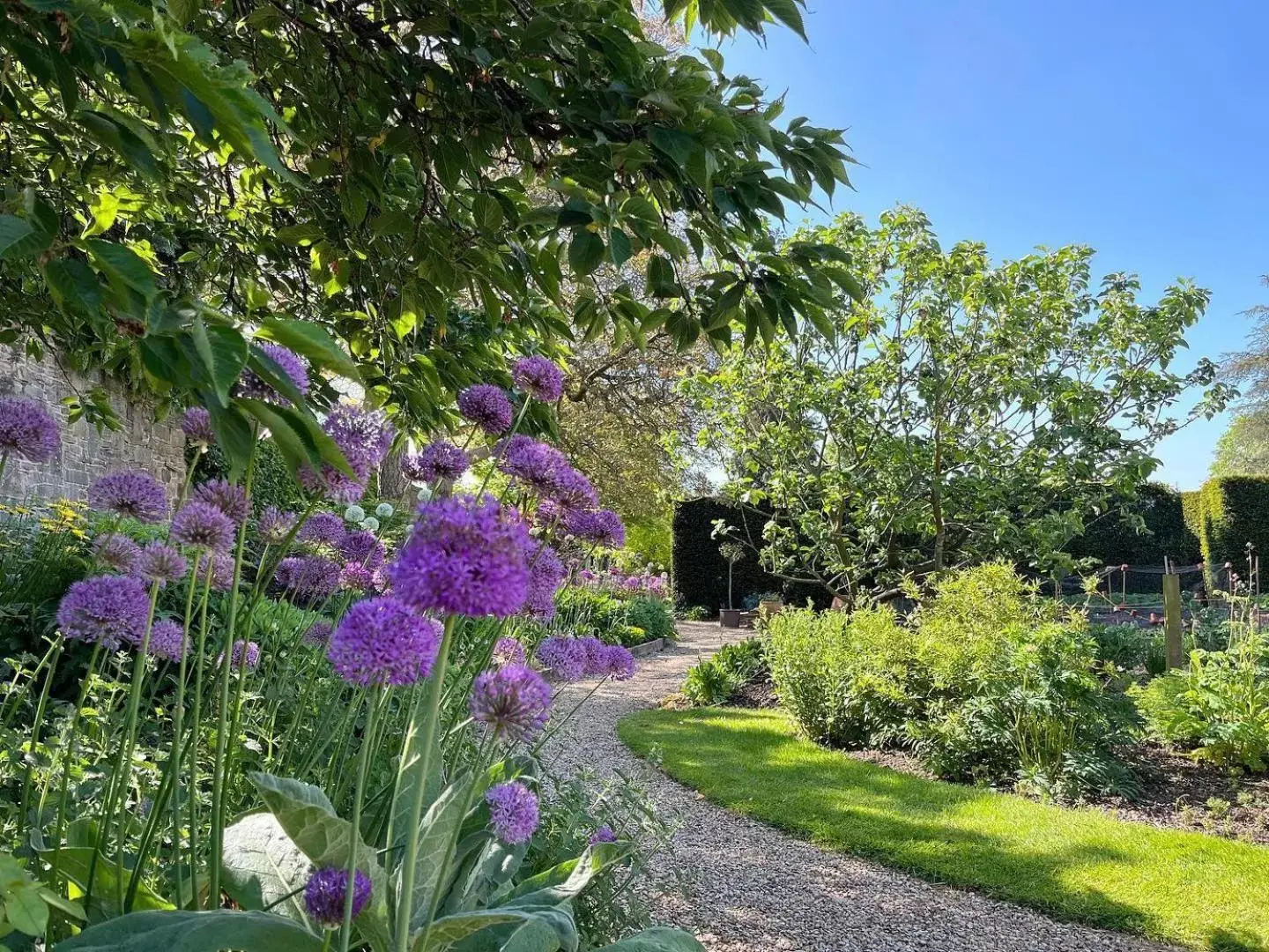 Garden in Fischers Baslow Hall - Chatsworth