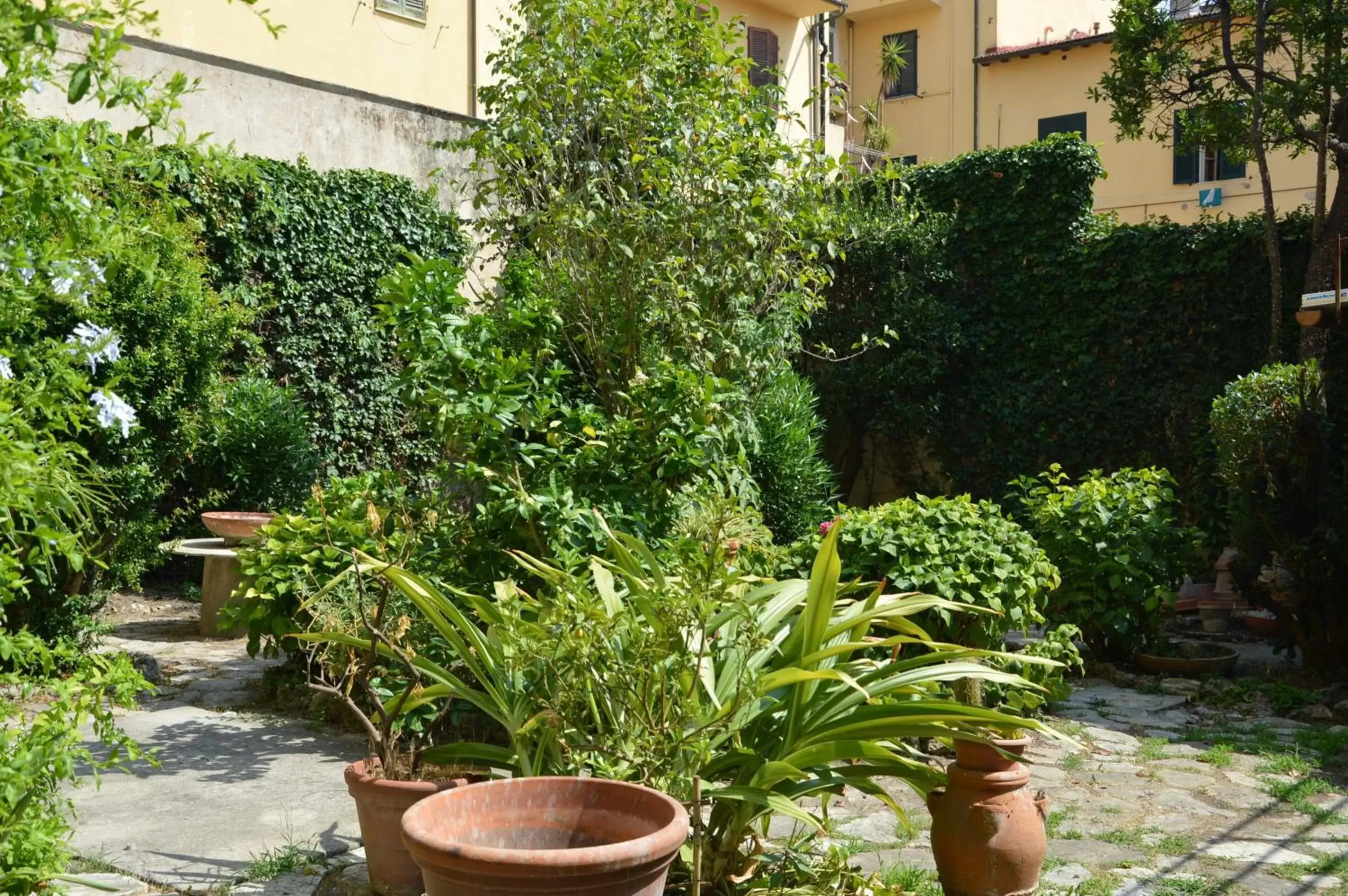 Garden in Villa Gini