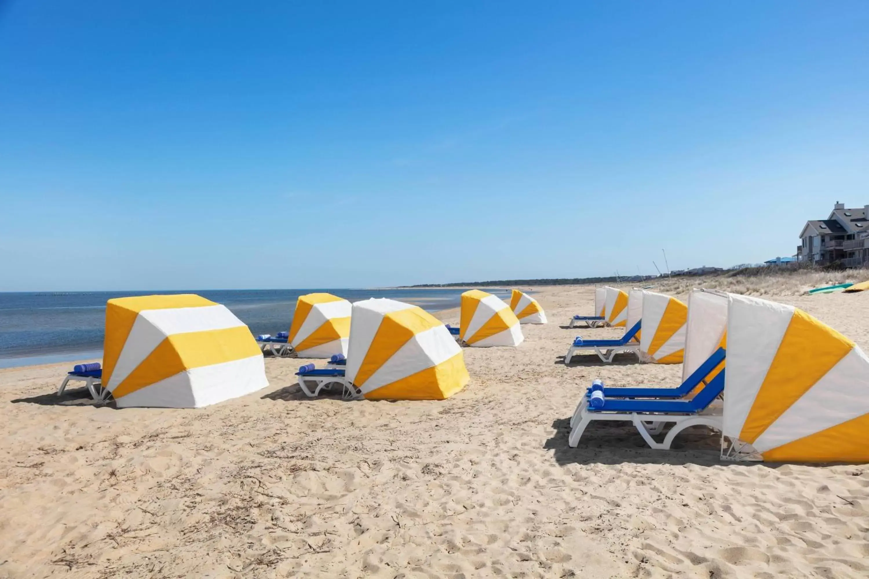 Beach in Delta Hotels by Marriott Virginia Beach Waterfront