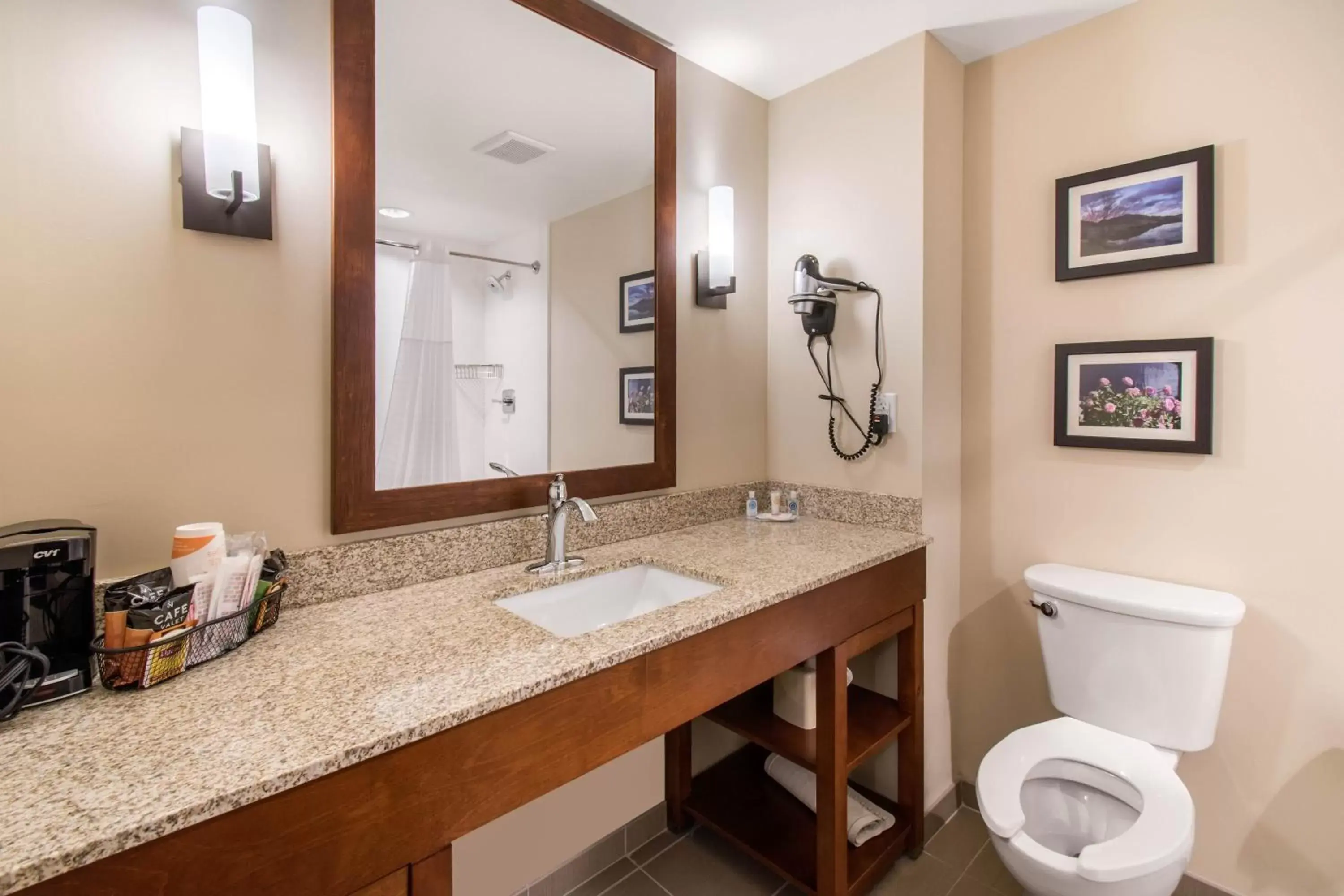 Toilet, Bathroom in Comfort Suites Denver near Anschutz Medical Campus