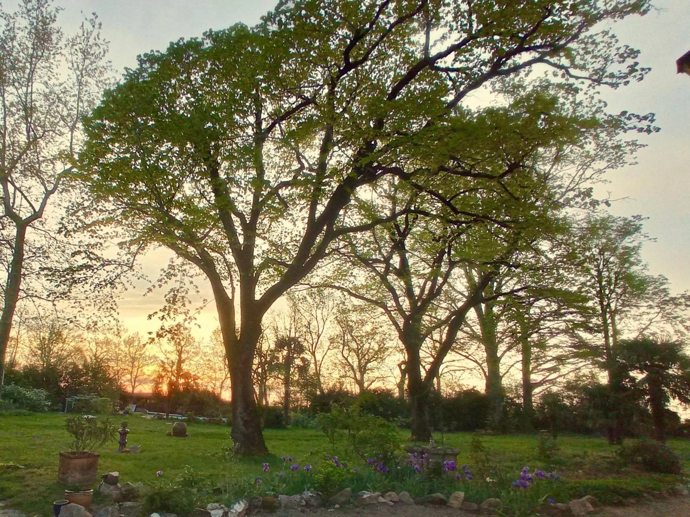 Garden in Domaine de Rasigous