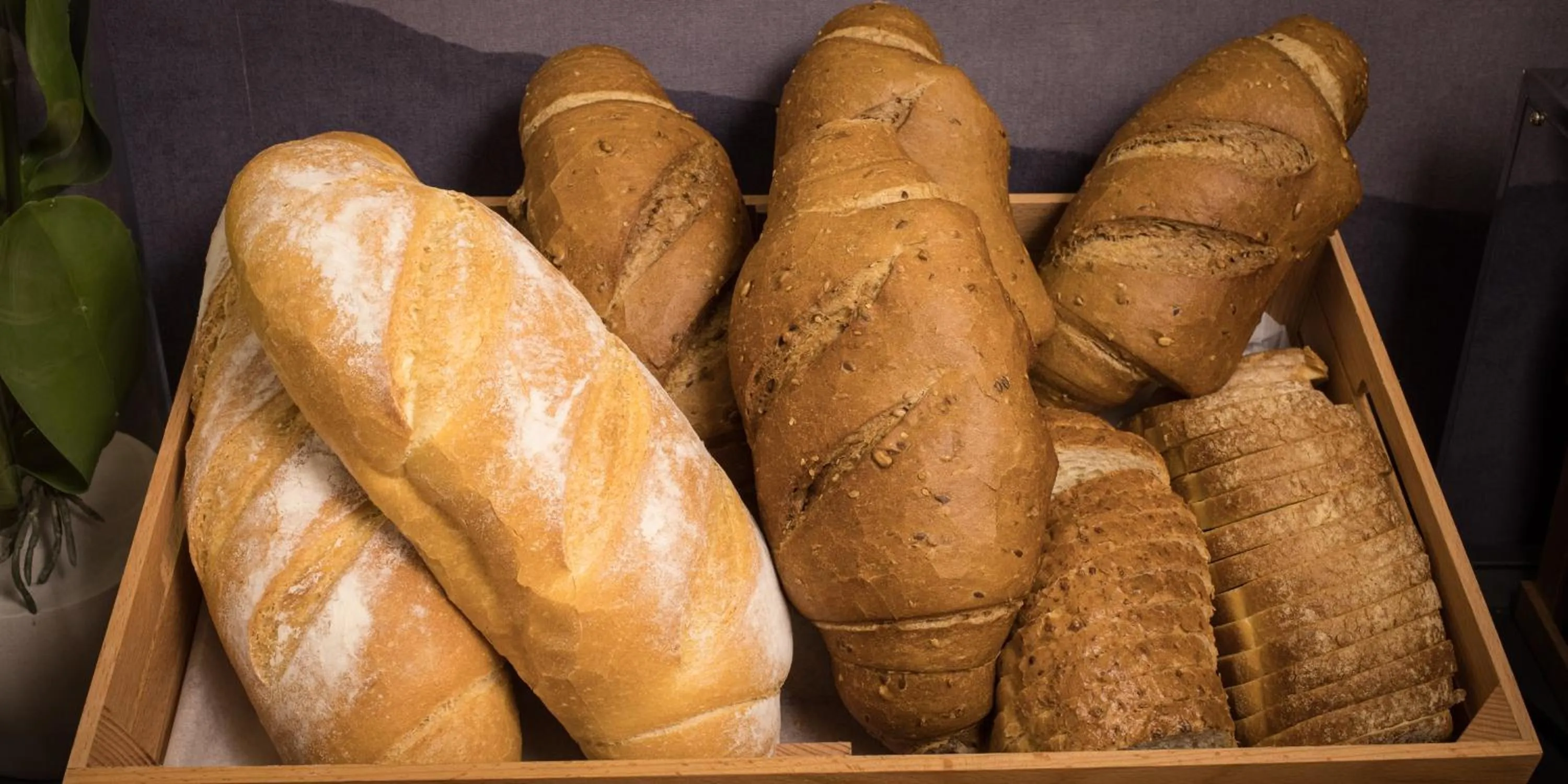 Food and drinks in Hotel The Cube