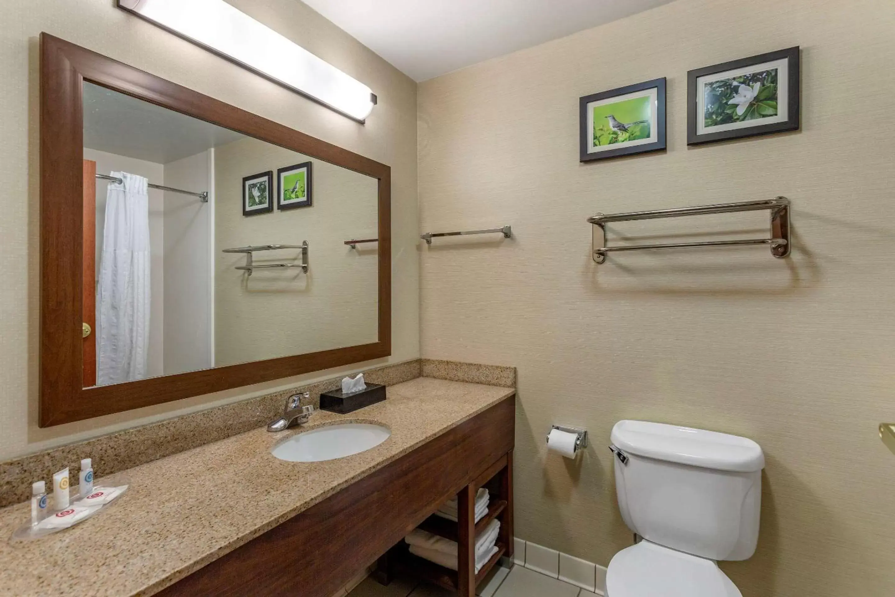 Bedroom, Bathroom in Comfort Suites Southaven I-55