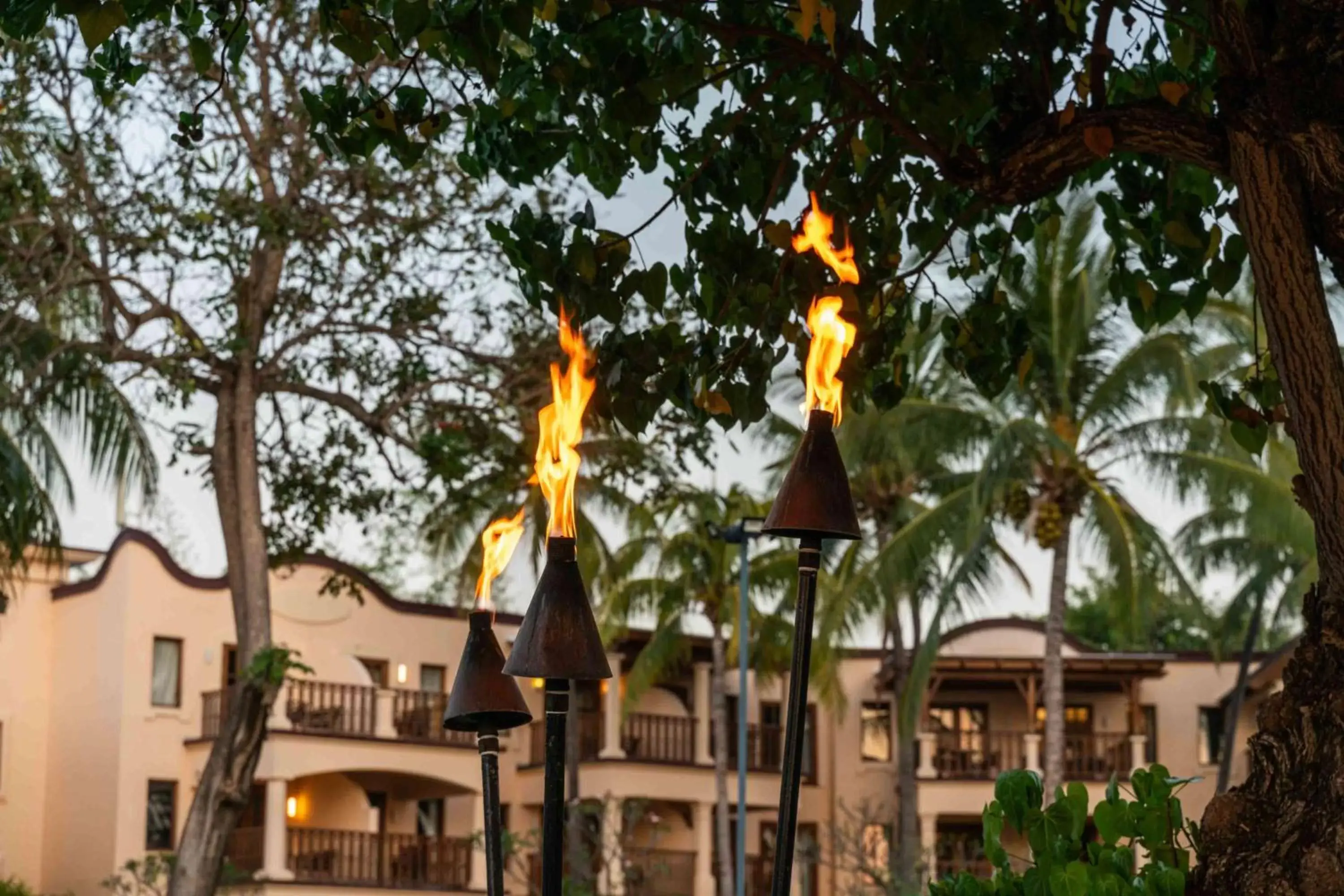 Garden, Property Building in Hilton Mauritius Resort & Spa