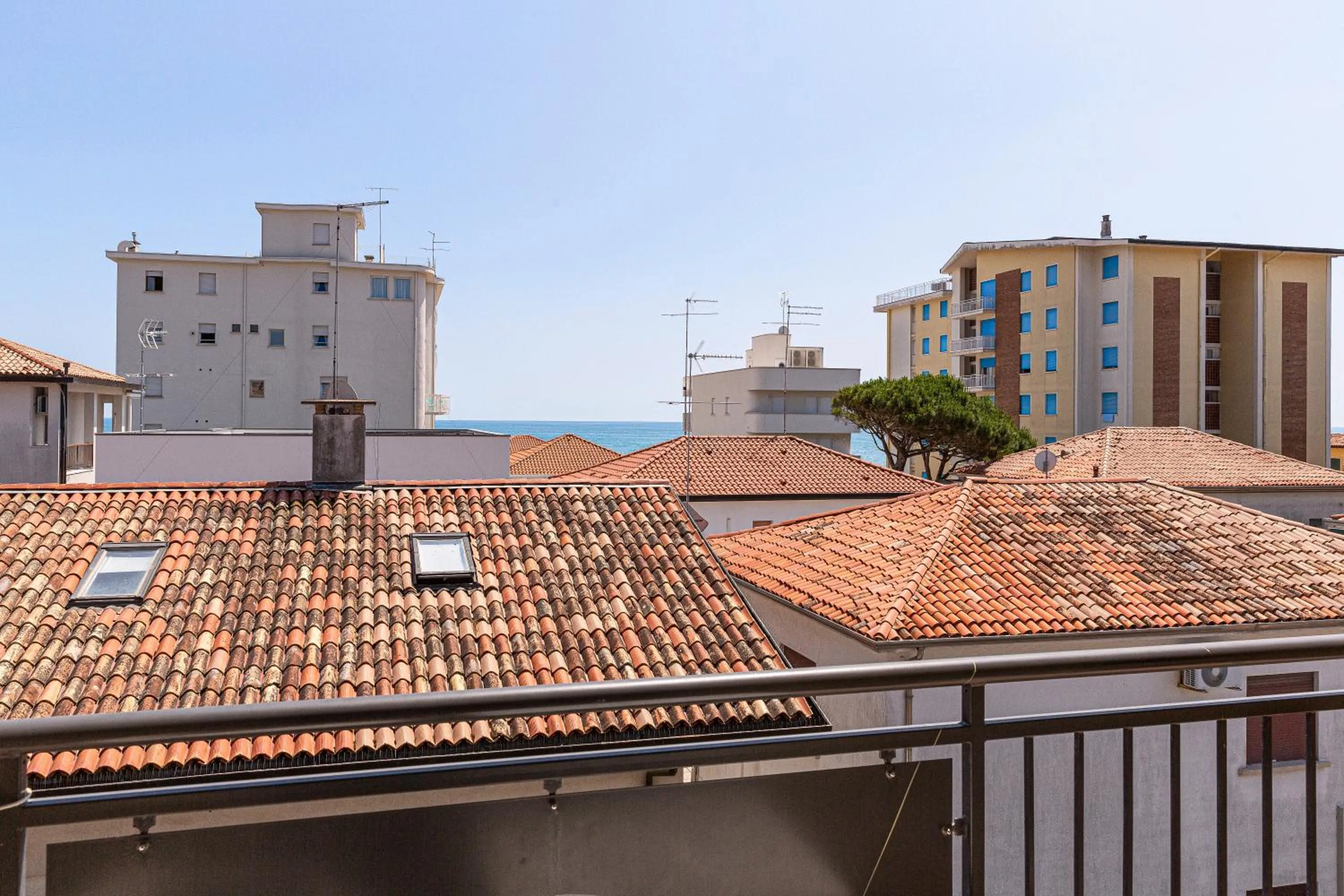 View (from property/room) in Hotel Diana