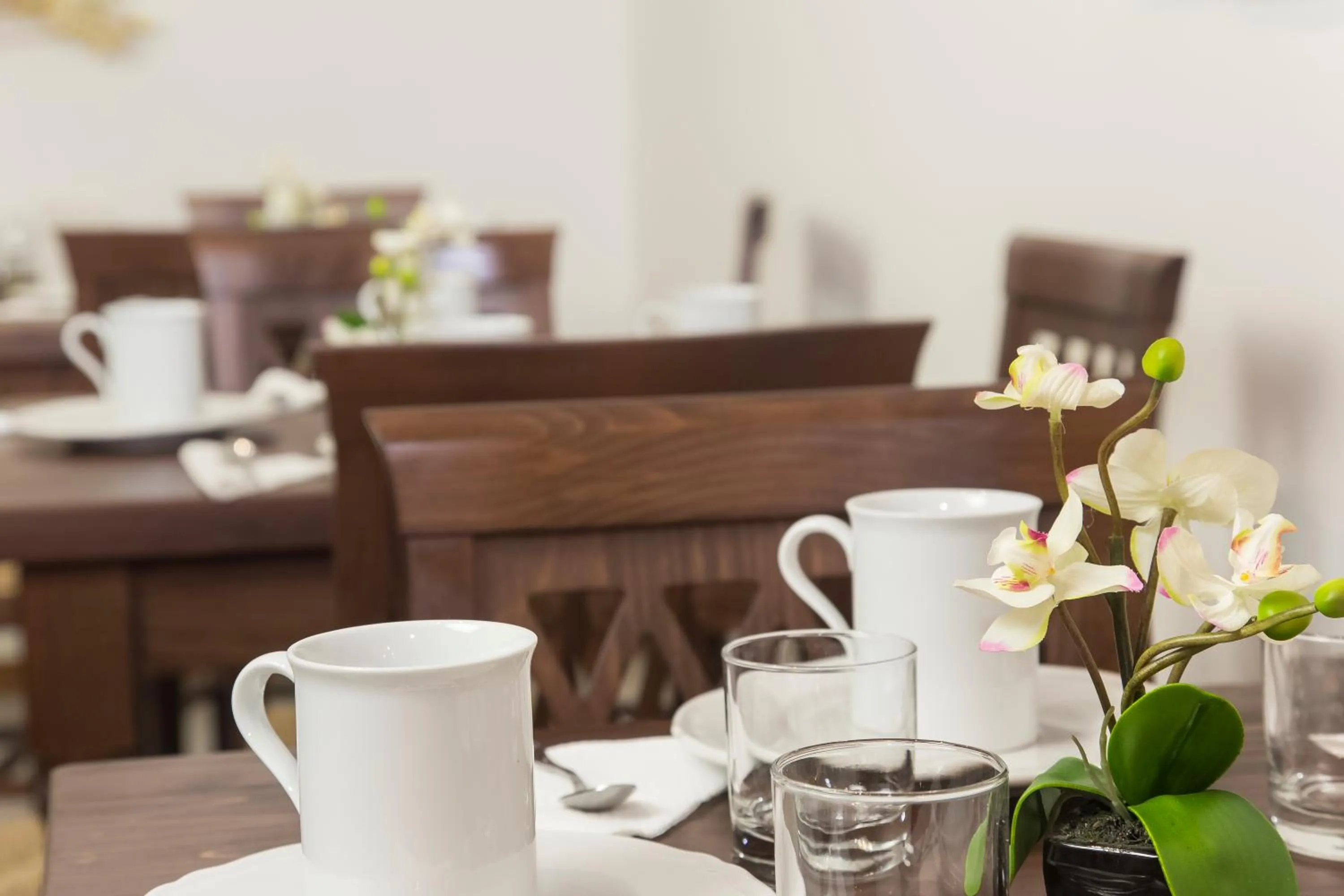 Restaurant/places to eat in Albergo Tre Donzelle