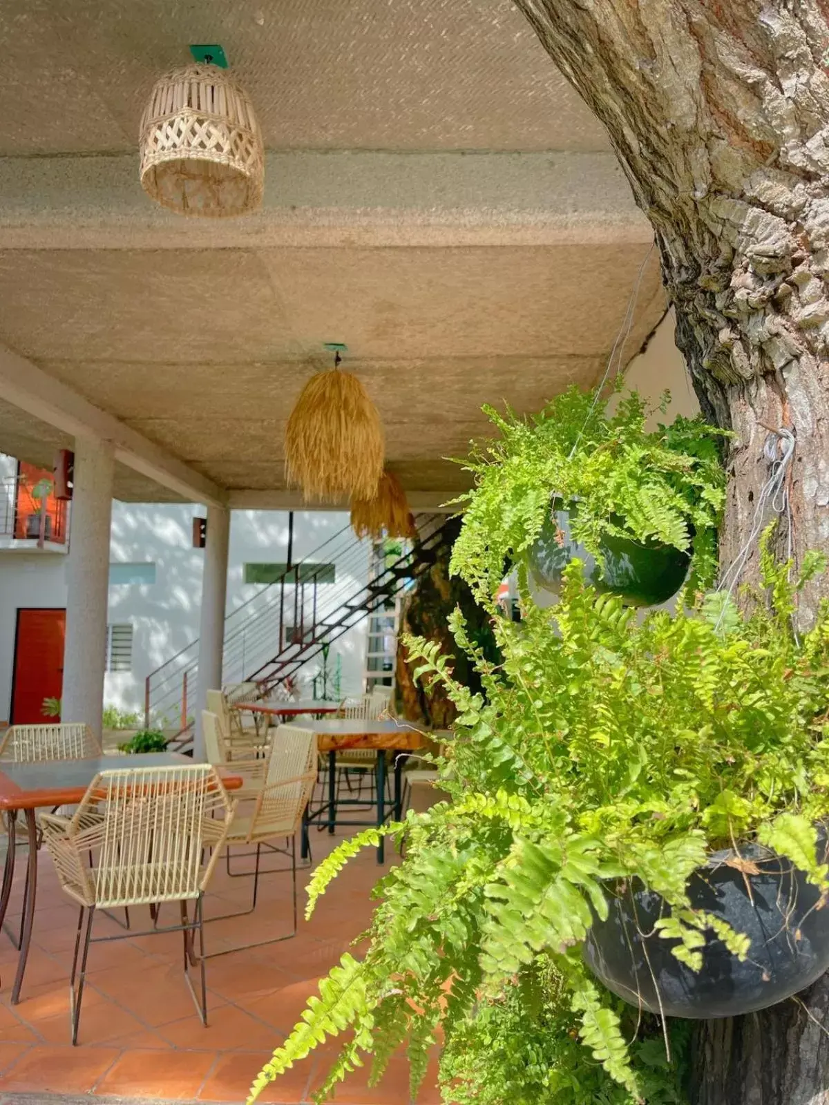 Balcony/Terrace in Nuiya Hoteles Centro