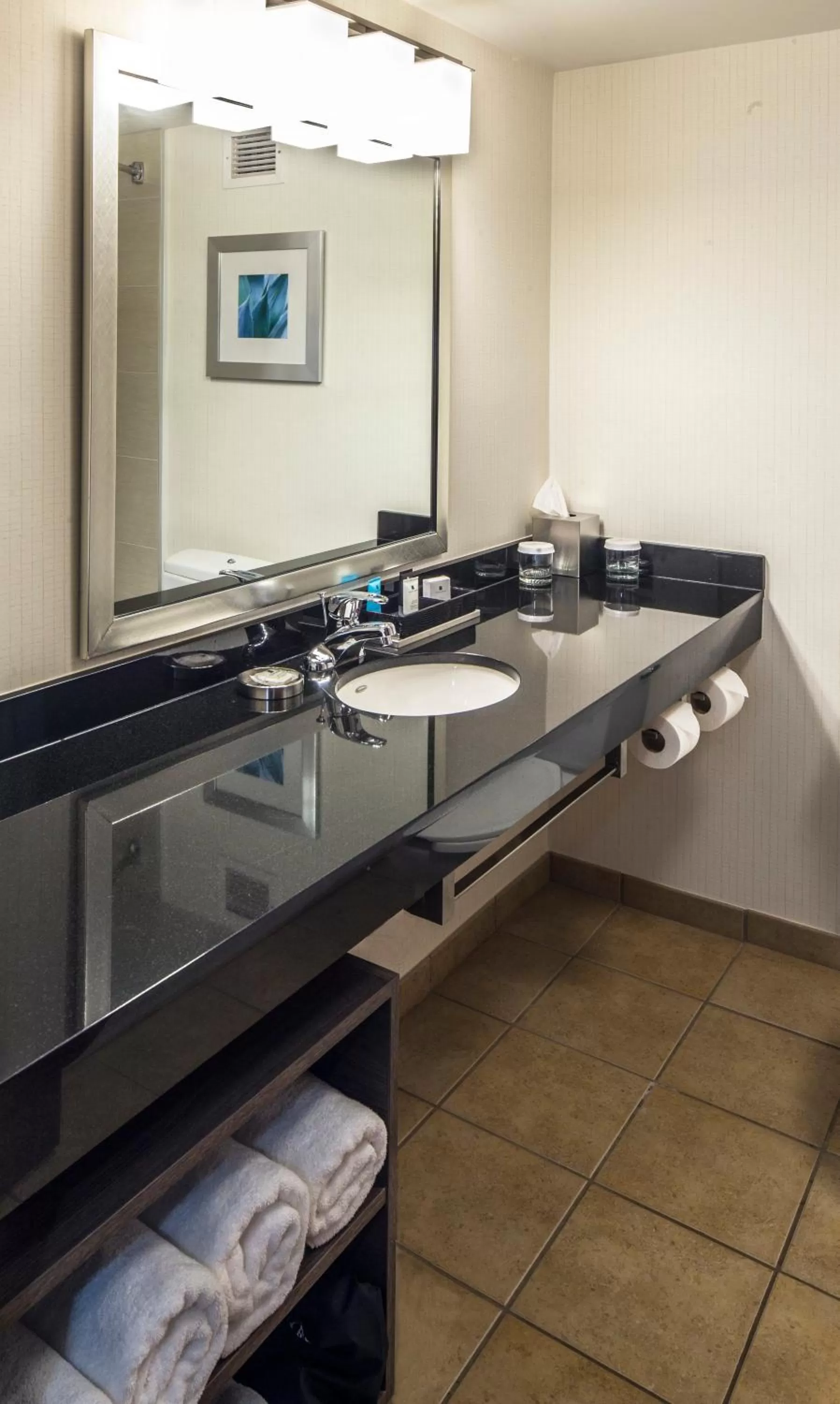 Bathroom in Crowne Plaza Hotel and Suites Pittsburgh South by IHG