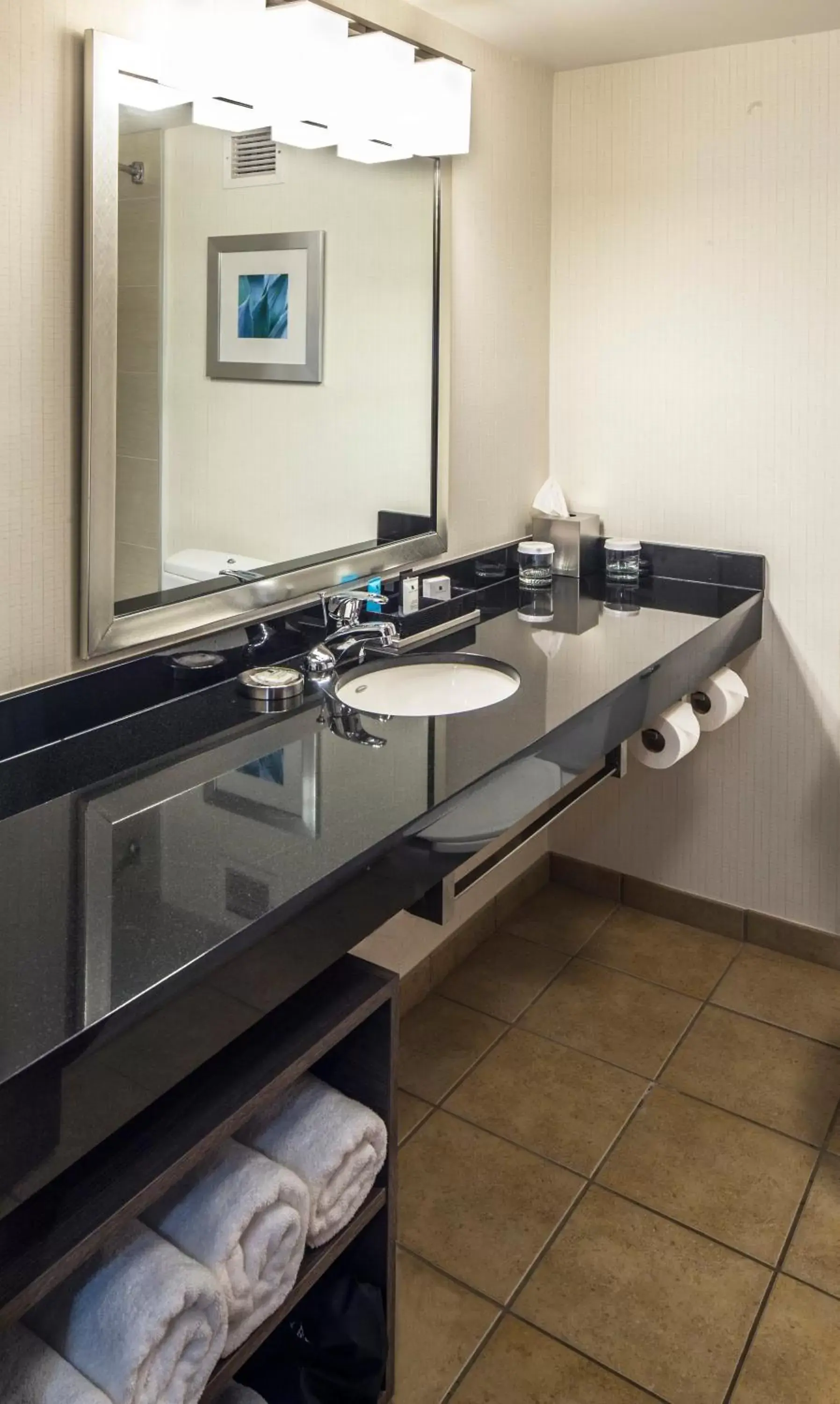 Bathroom in Crowne Plaza Hotel and Suites Pittsburgh South, an IHG Hotel
