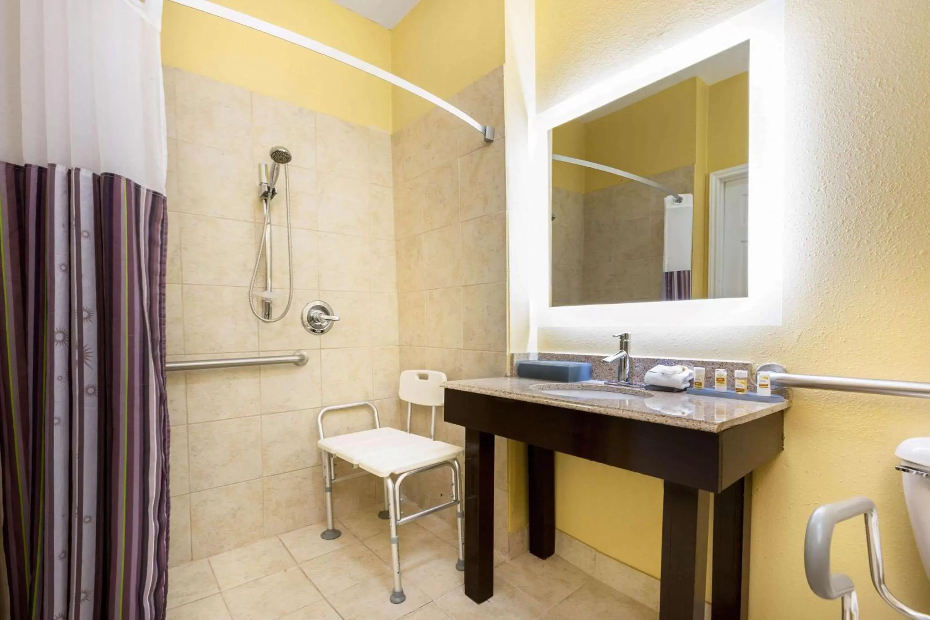 Shower, Bathroom in La Quinta by Wyndham Angleton