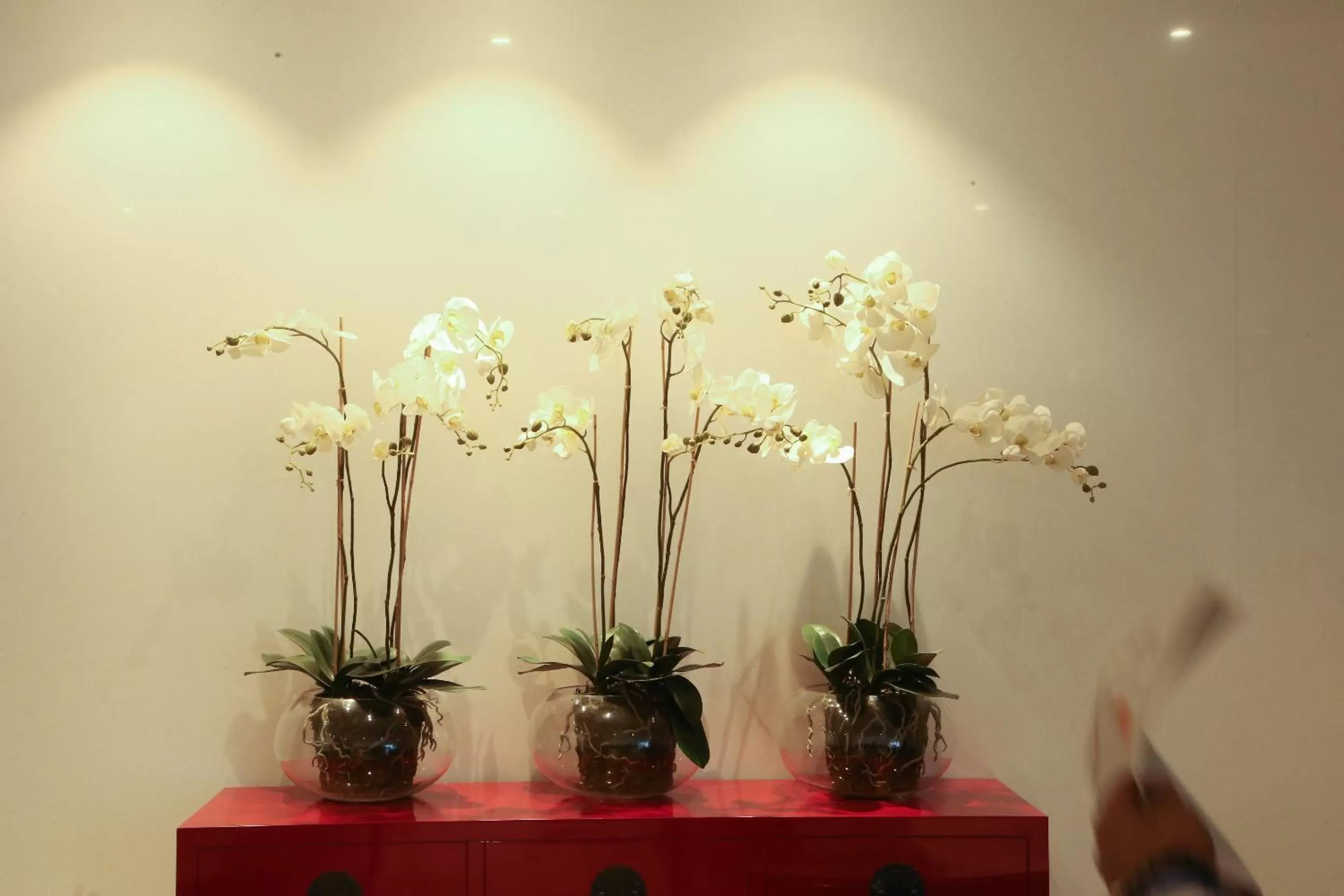 Lobby or reception in Hotel Deccan Serai, HITEC CITY, HYDERABAD