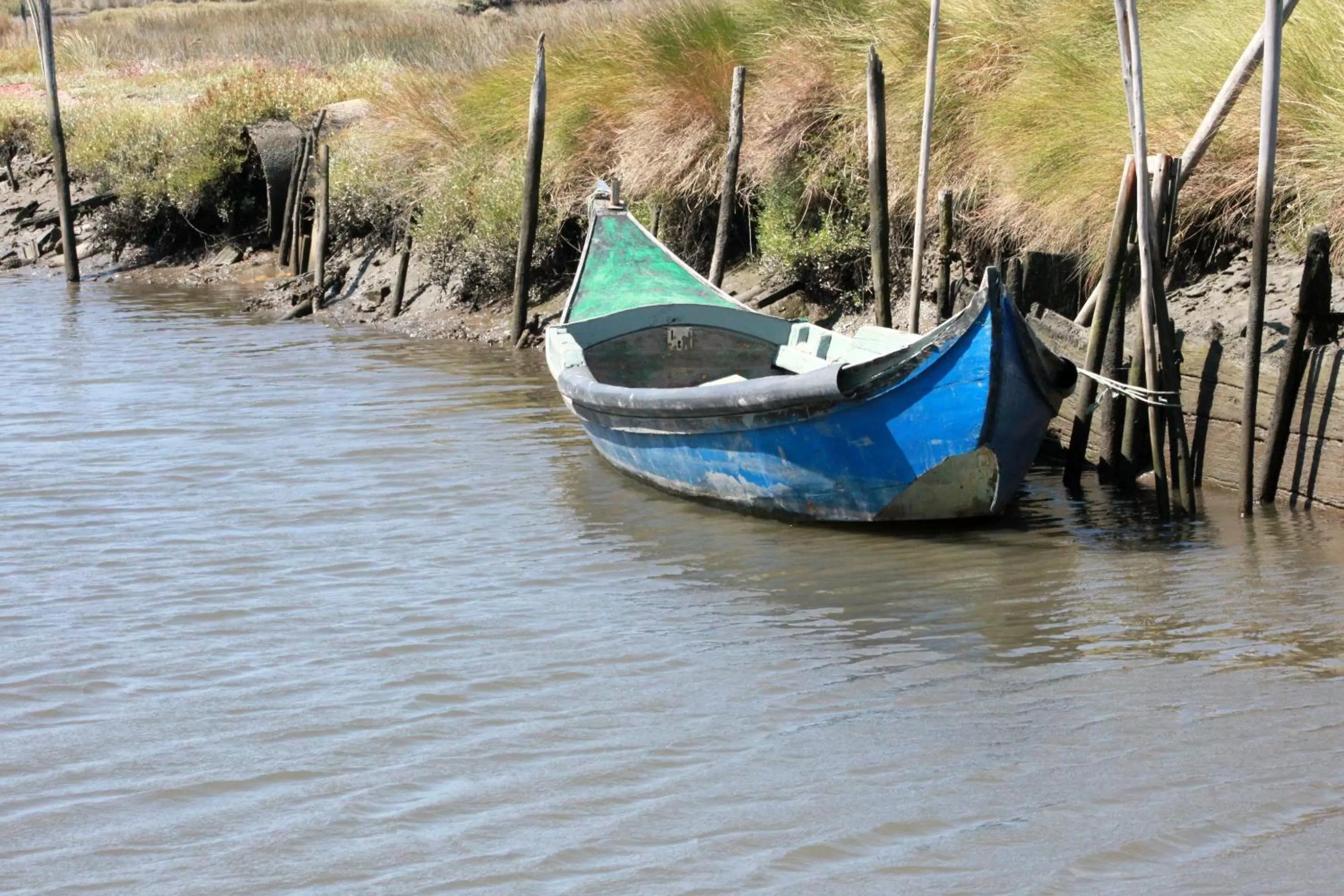Activities in Casa 3 Águias