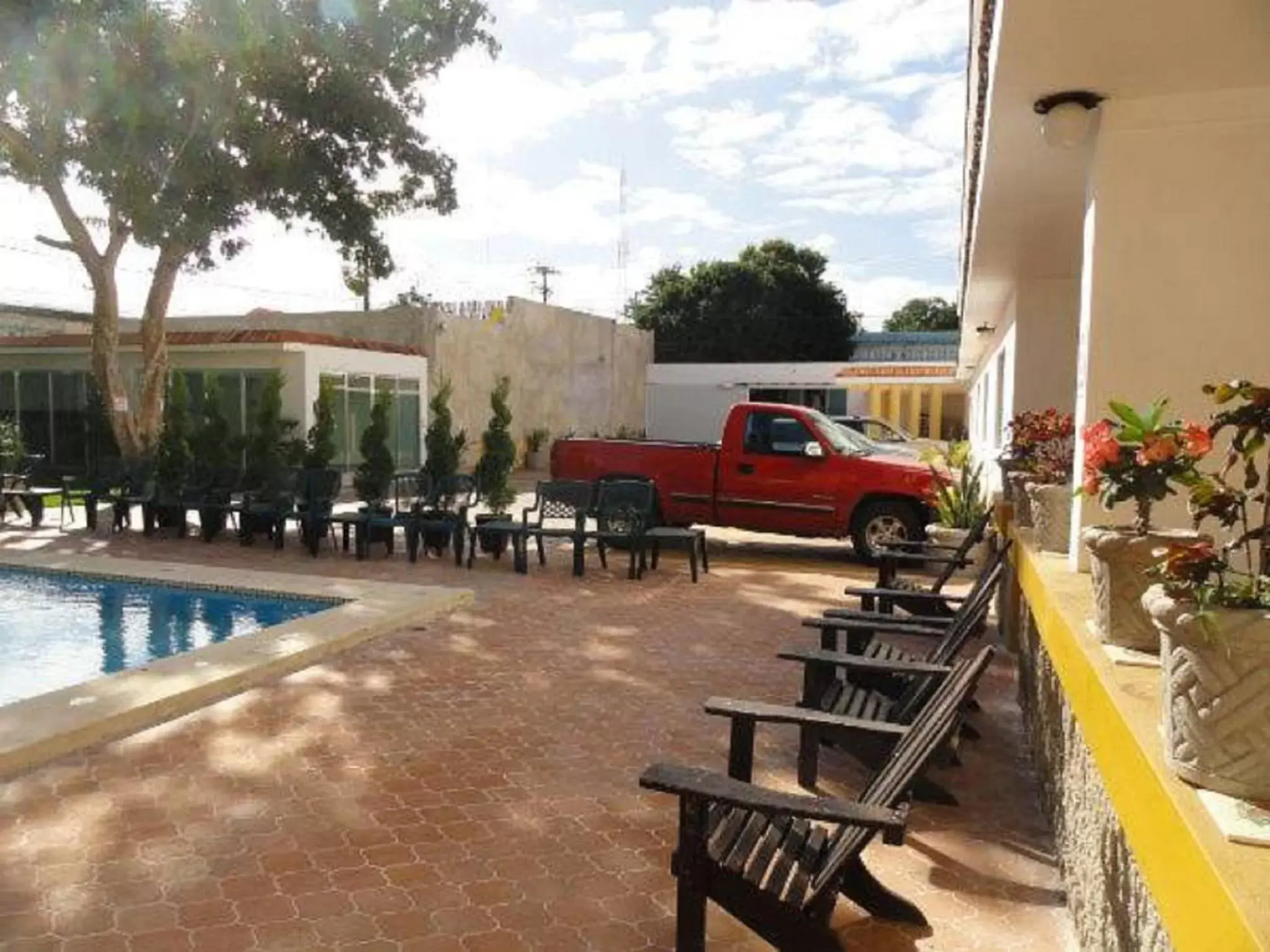 Area and facilities in Hotel Las Dalias Inn