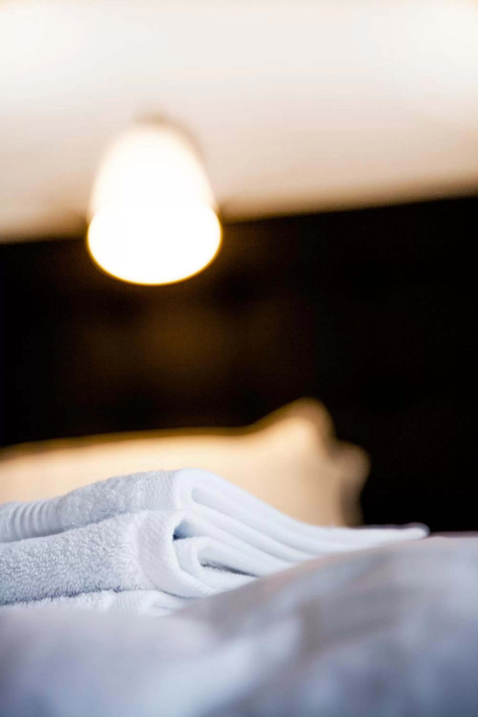 Living room, Bed in Easy Livin' Apartment Hotel