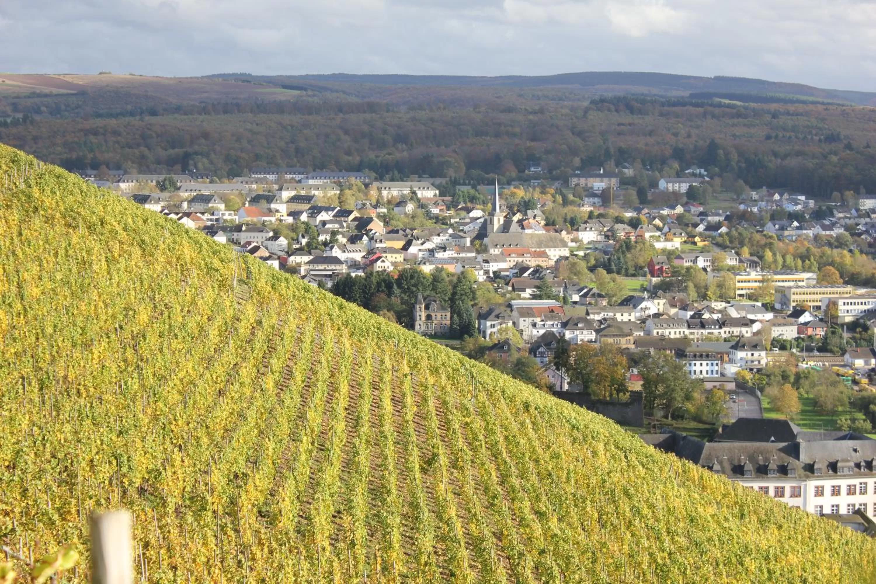 Natural landscape in Hotel am Markt