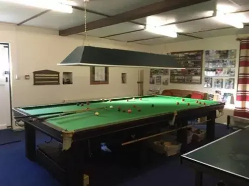 Activities, Billiards in Double-Gate Farm