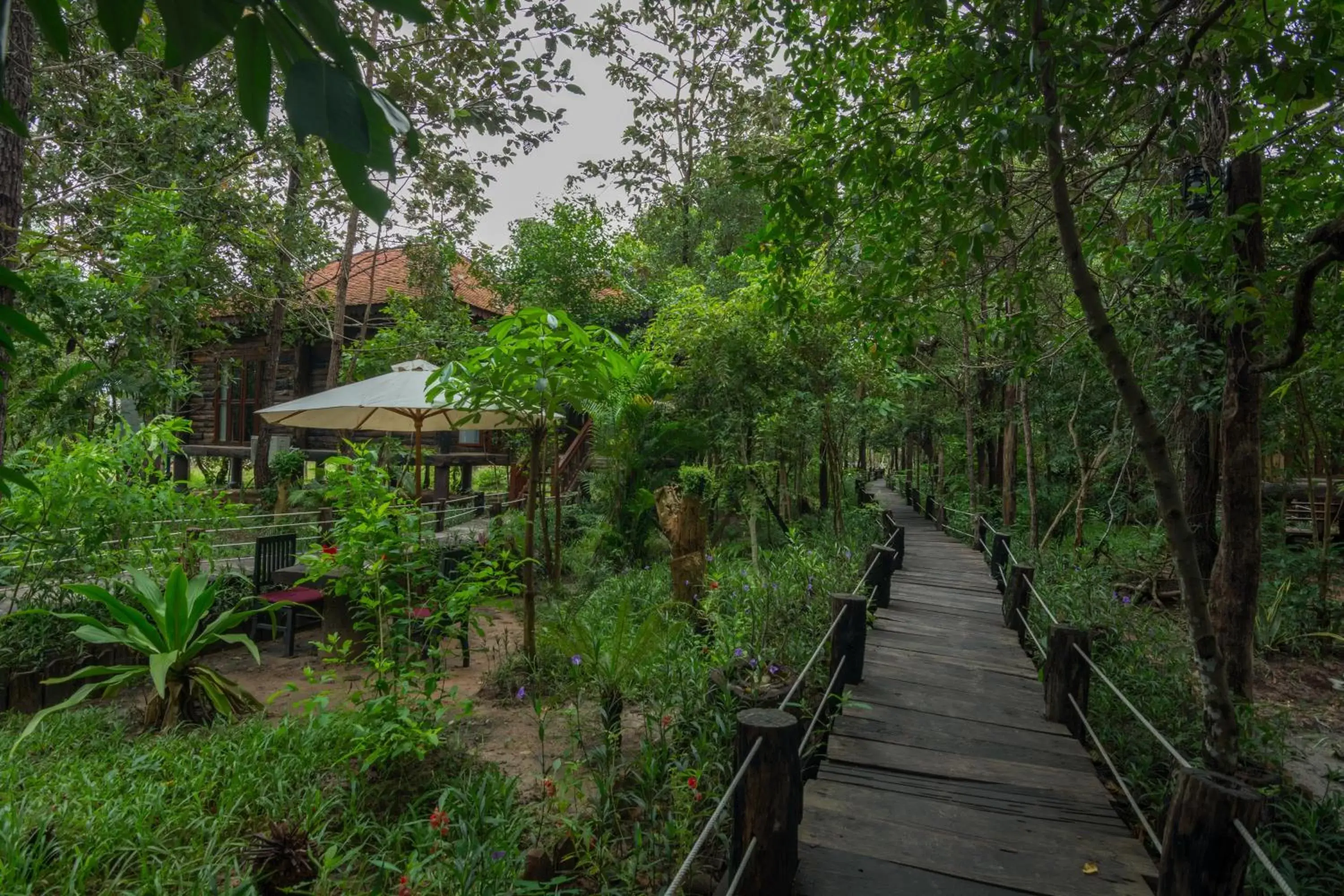 Garden in Bong Thom Forest Lodge