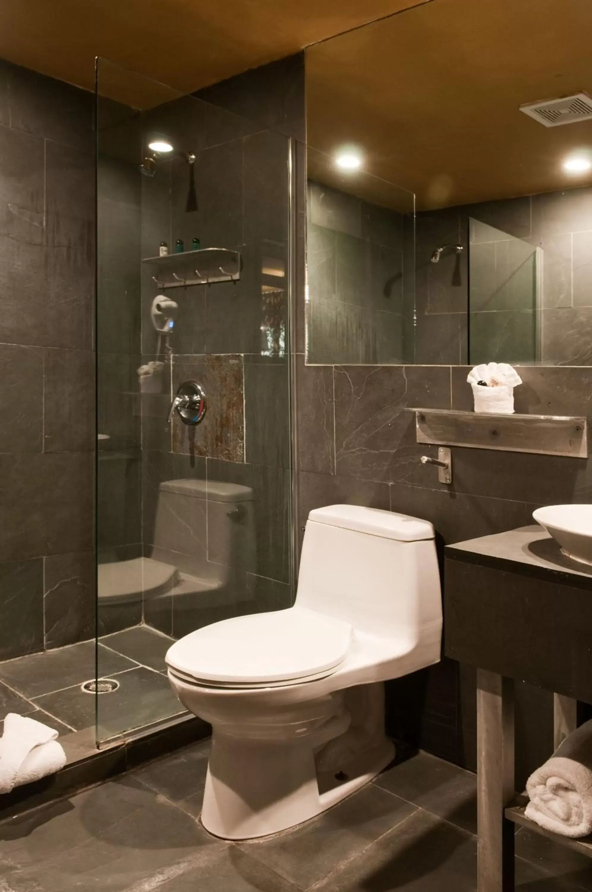 Bathroom in Hotel Chelsea