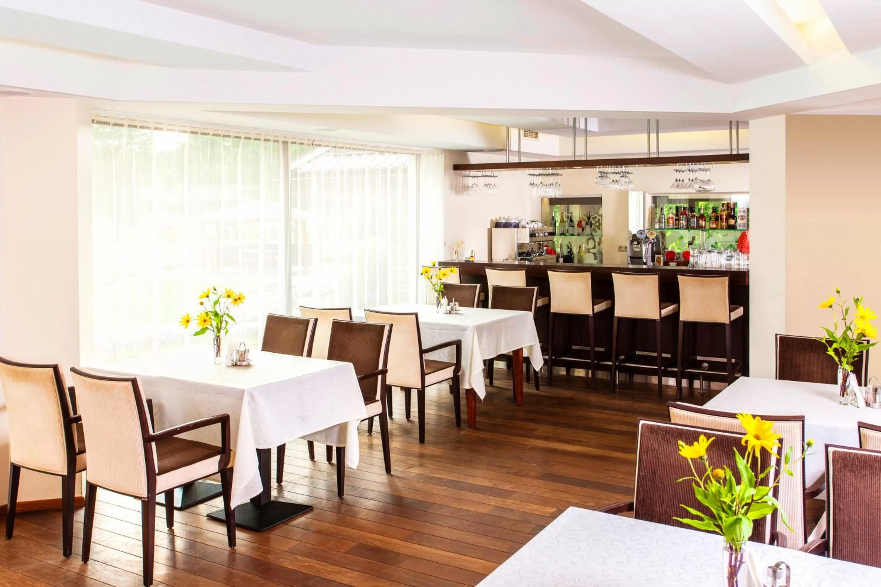 Restaurant/places to eat in Park Villa Hotel