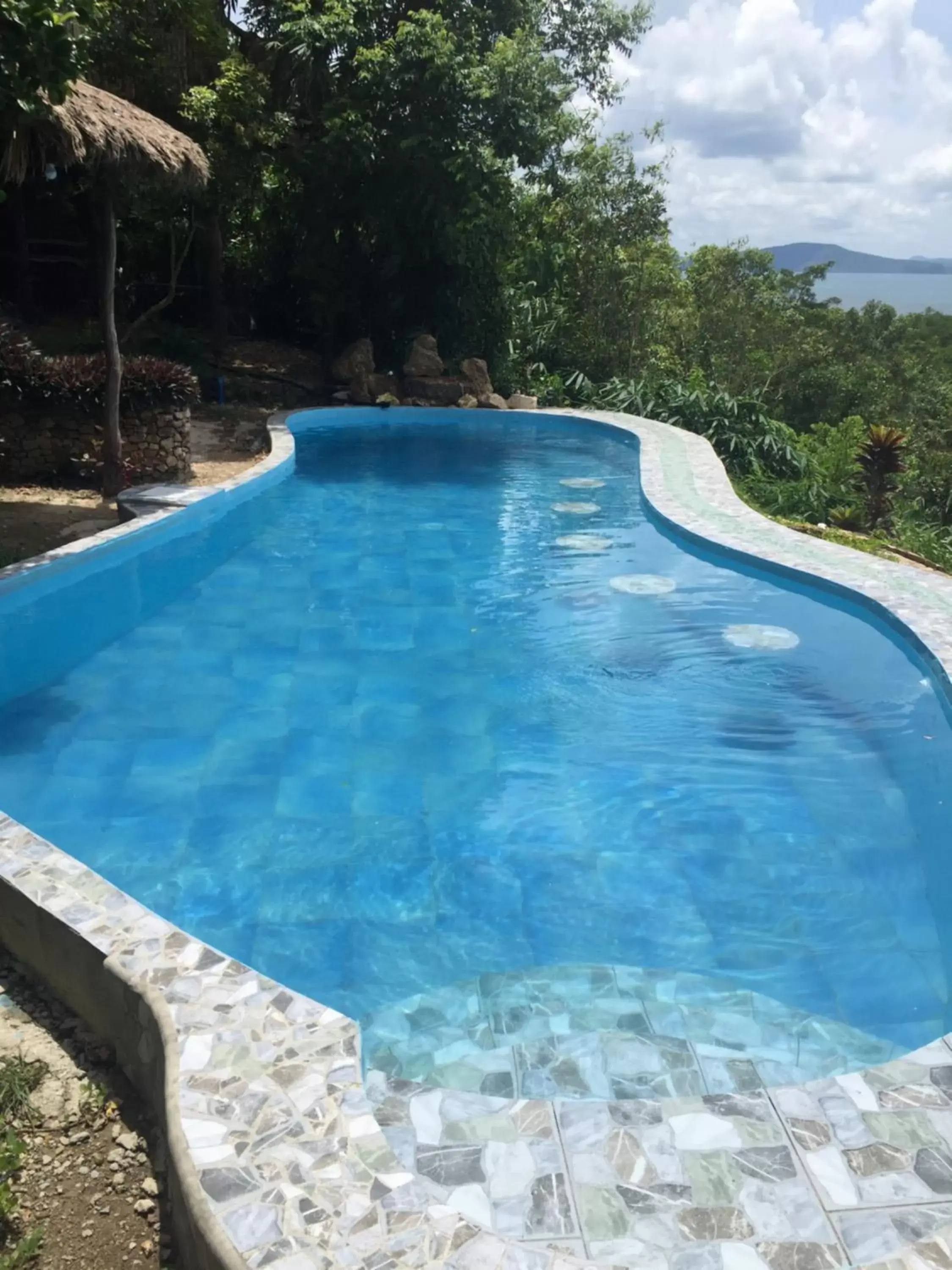 Swimming Pool in Sanctuaria Treehouses Busuanga