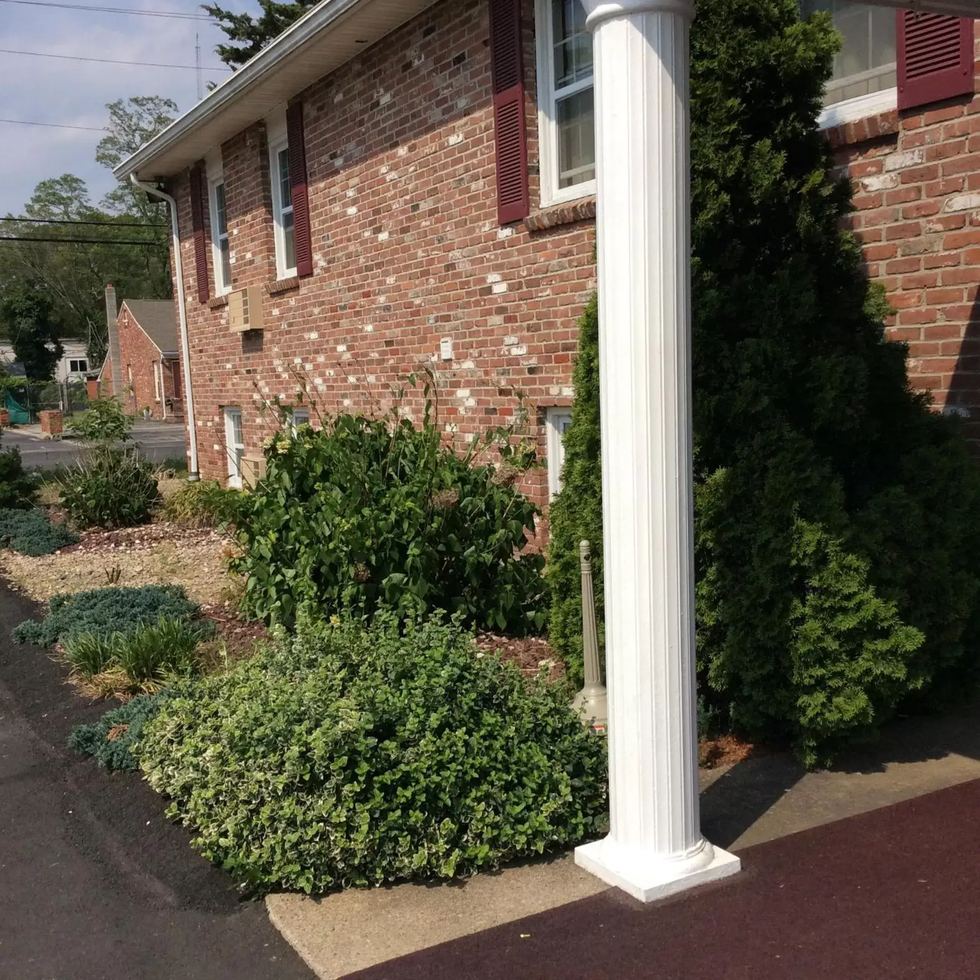 Garden, Property Building in Wickford Motor Inn