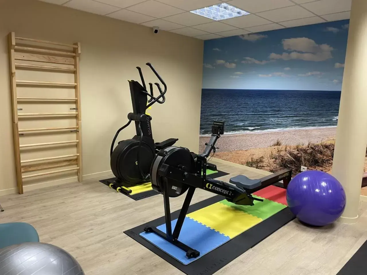 Fitness centre/facilities, Fitness Center/Facilities in Kyriad Prestige Vannes Centre-Palais des Arts