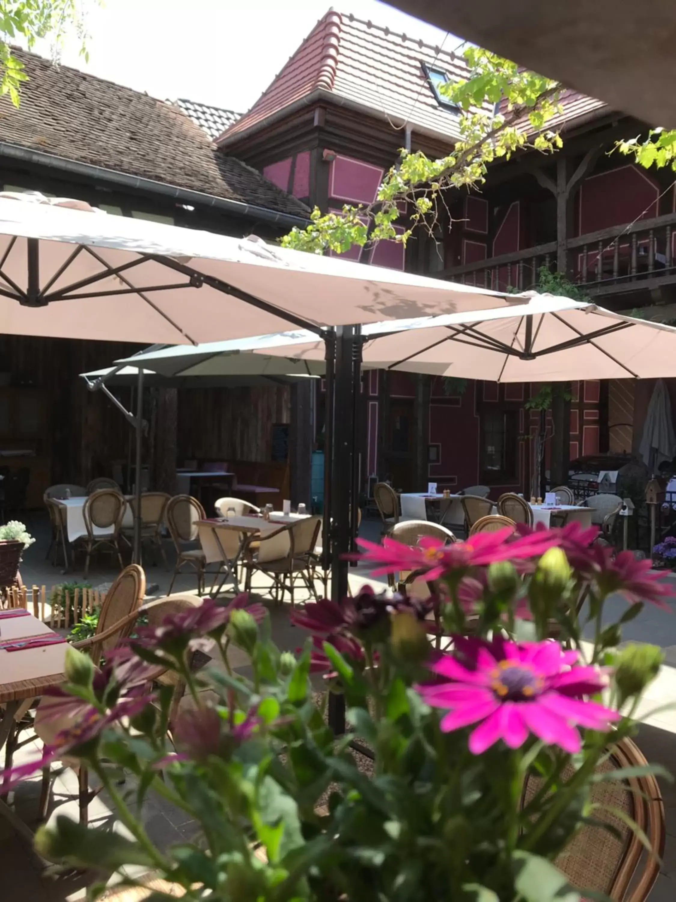 Restaurant/Places to Eat in Auberge Le Meisenberg