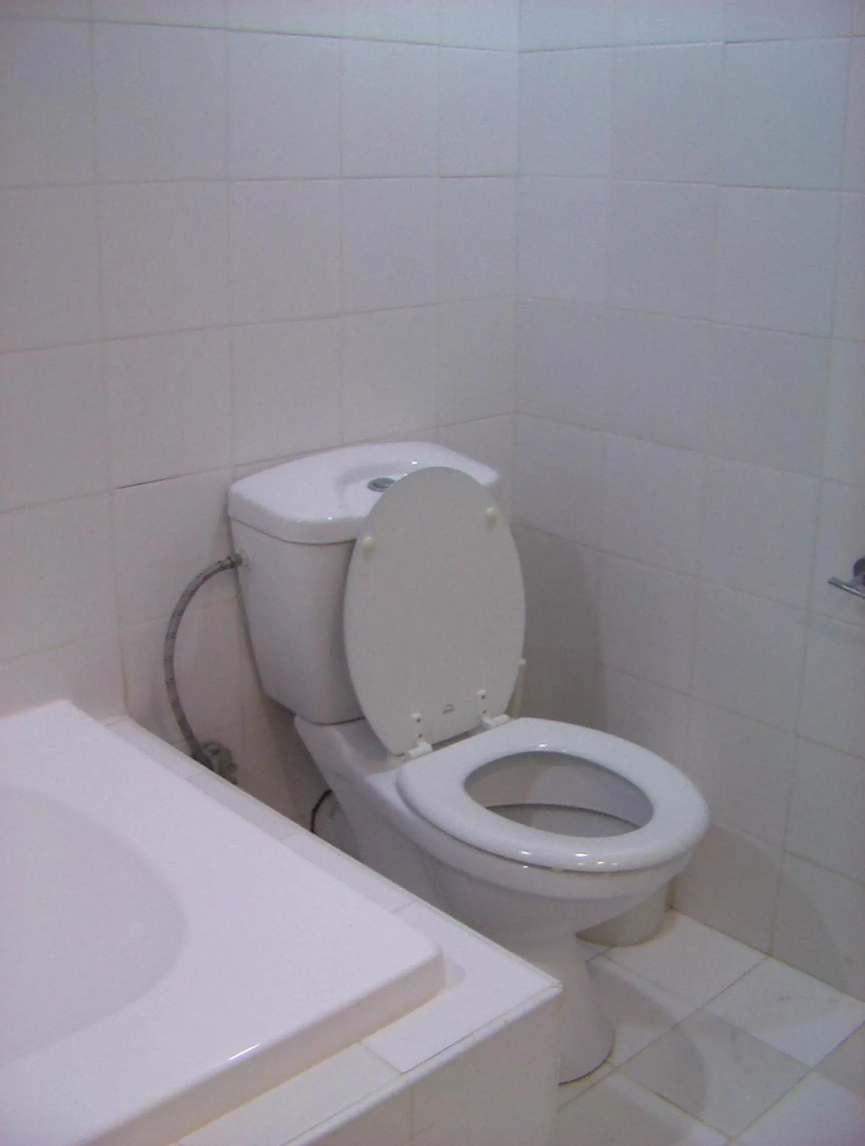 Toilet in Raphael Apartments