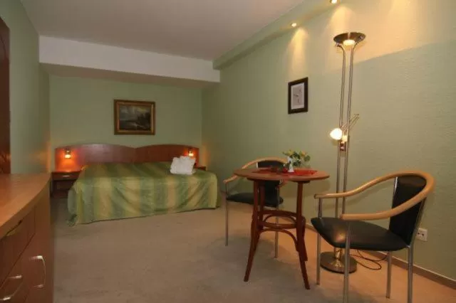 Photo of the whole room, Bed in Hotel Balneolum Superior