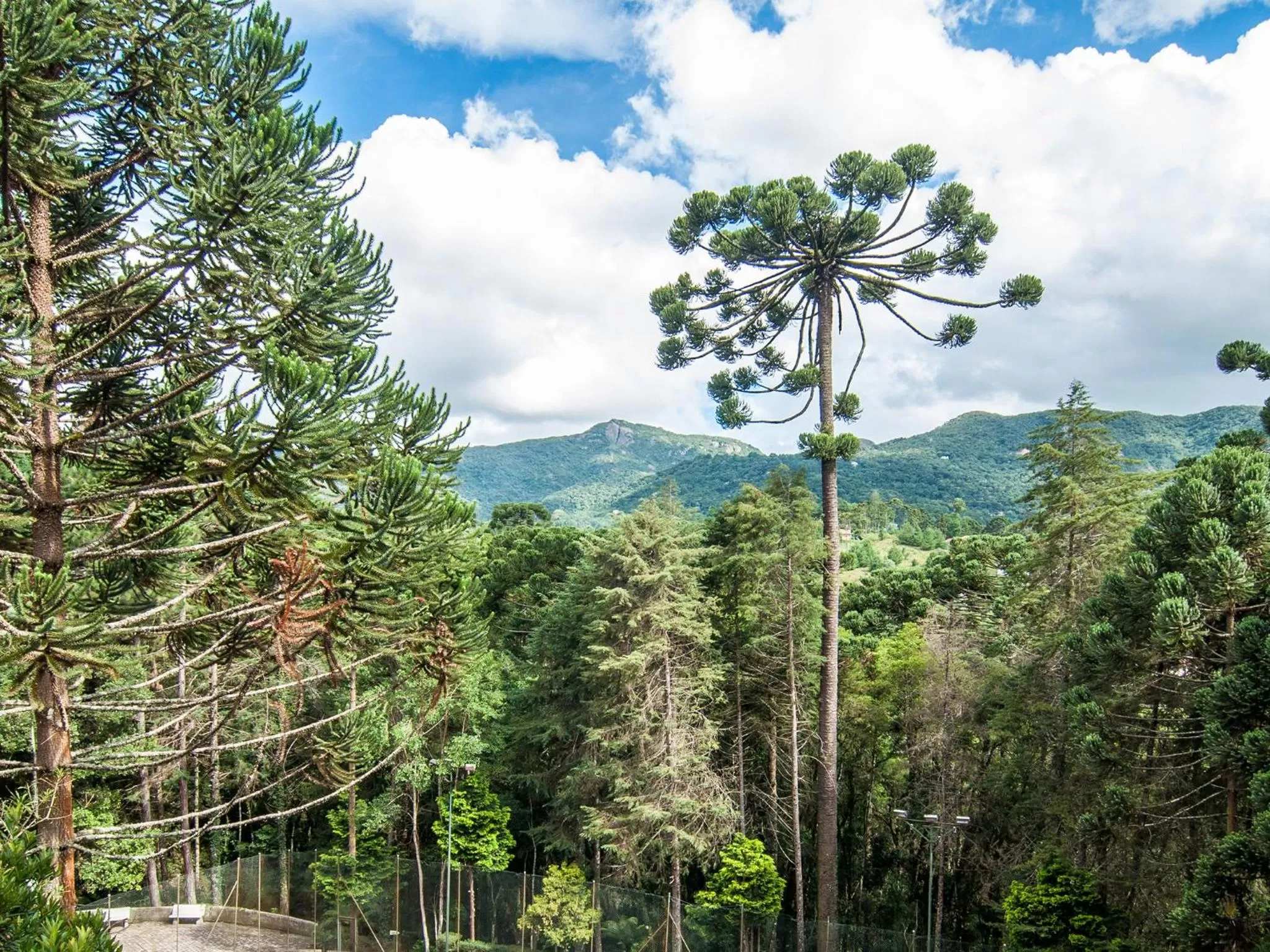 Facade/entrance in Pousada Ricanto Amore Mio