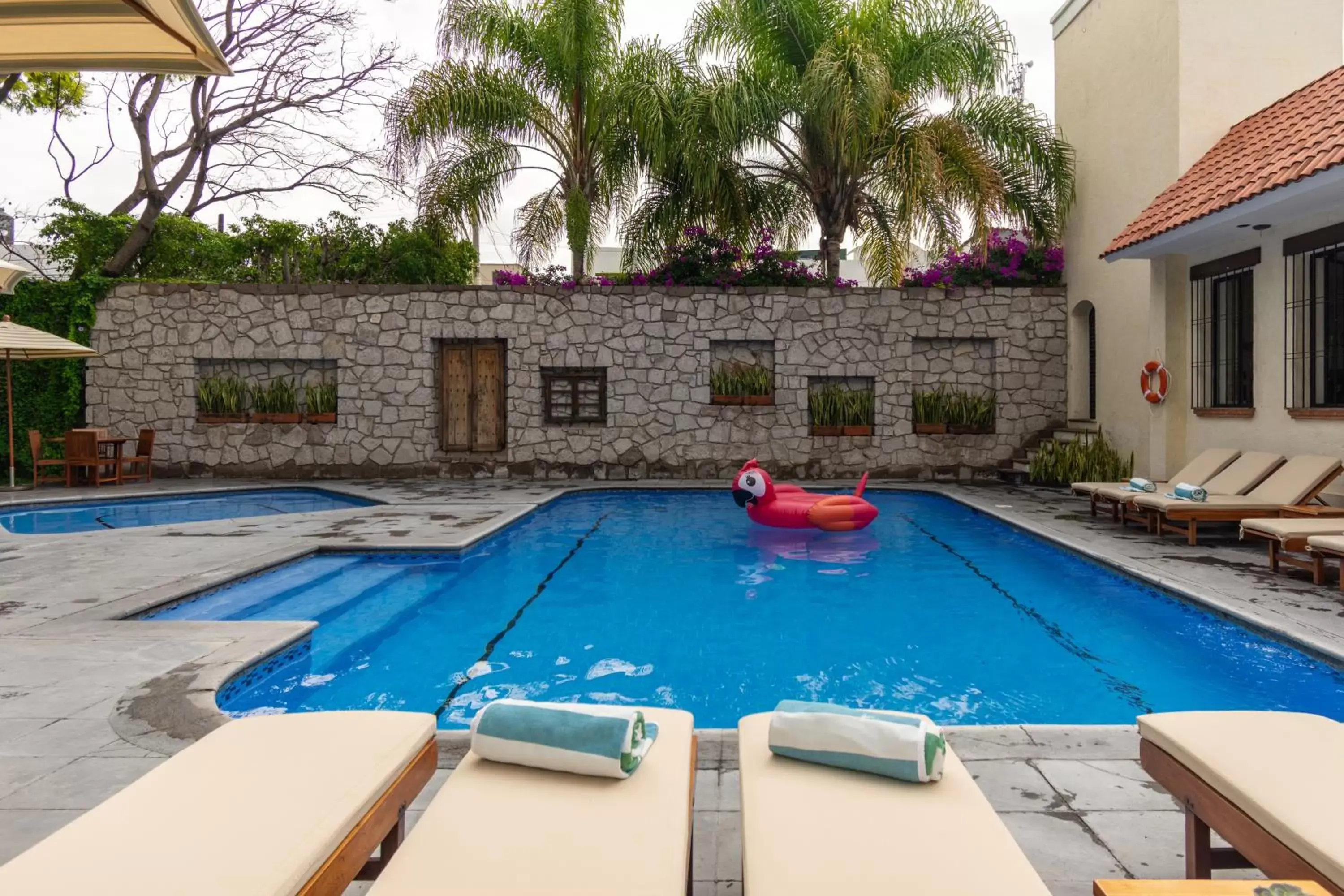 Swimming Pool in Hotel Flamingo Inn