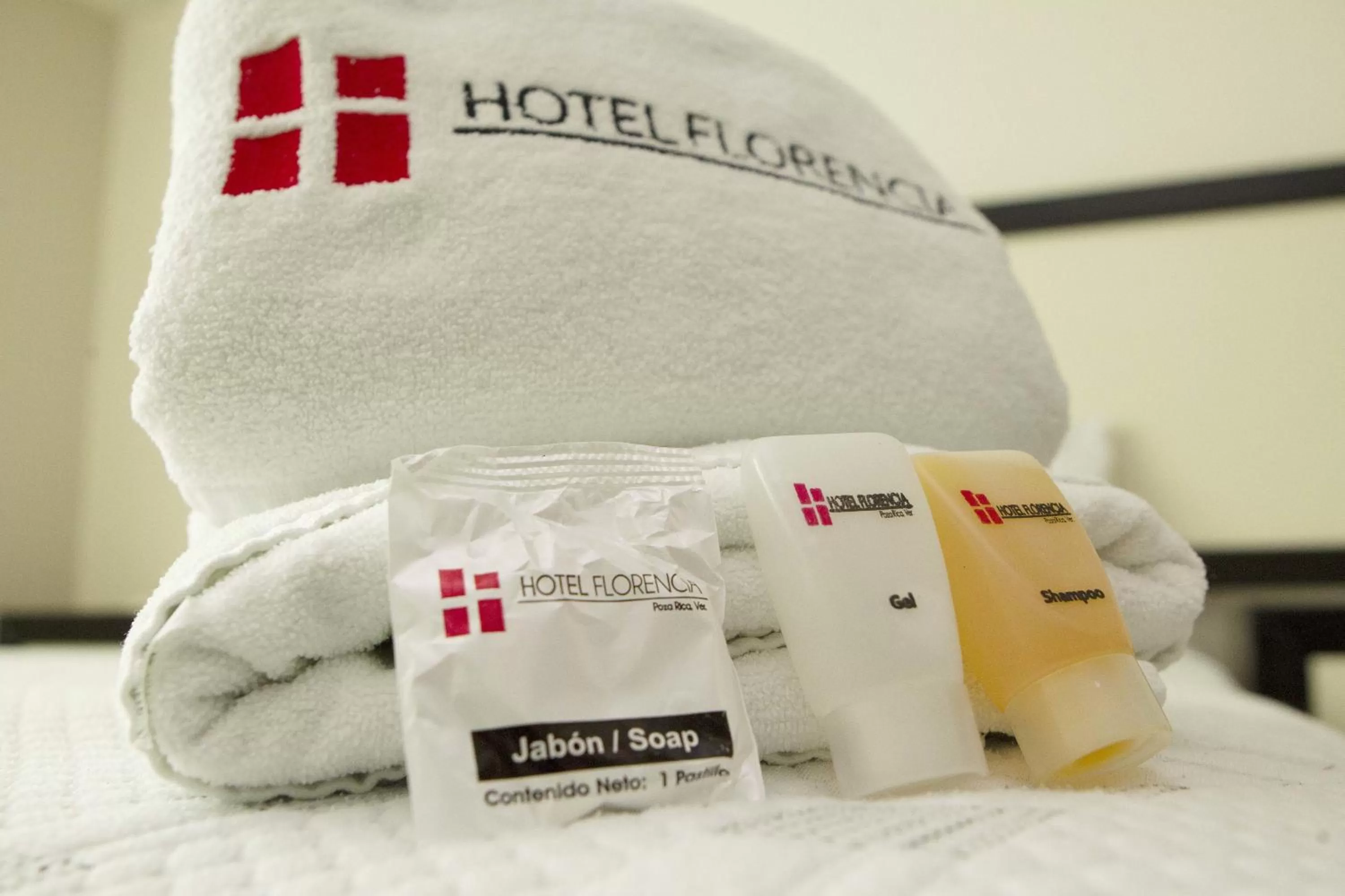 Decorative detail, Bed in Hotel Florencia Poza Rica