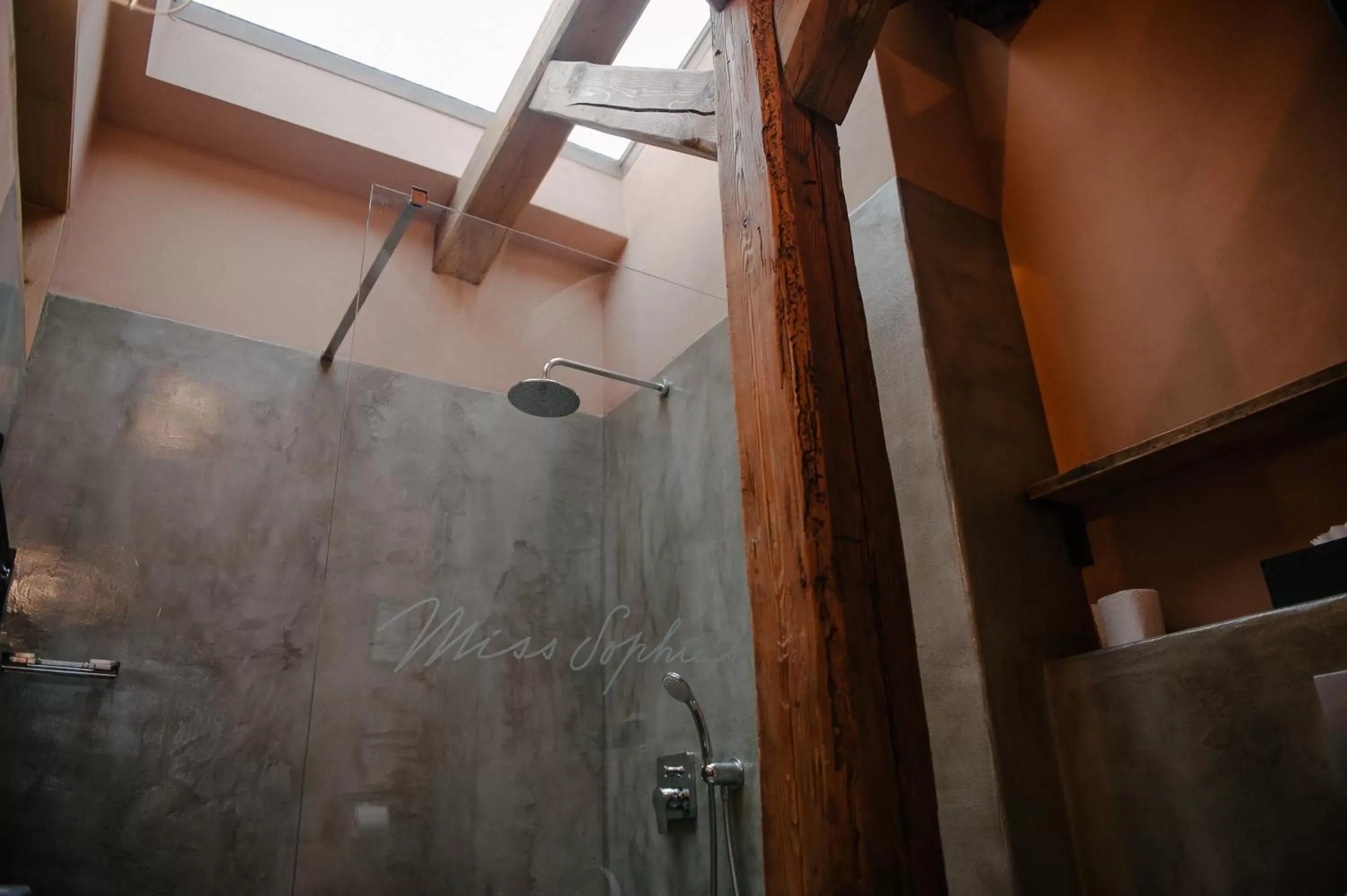 Shower, Bathroom in Miss Sophie's Olomouc - Boutique Hotel