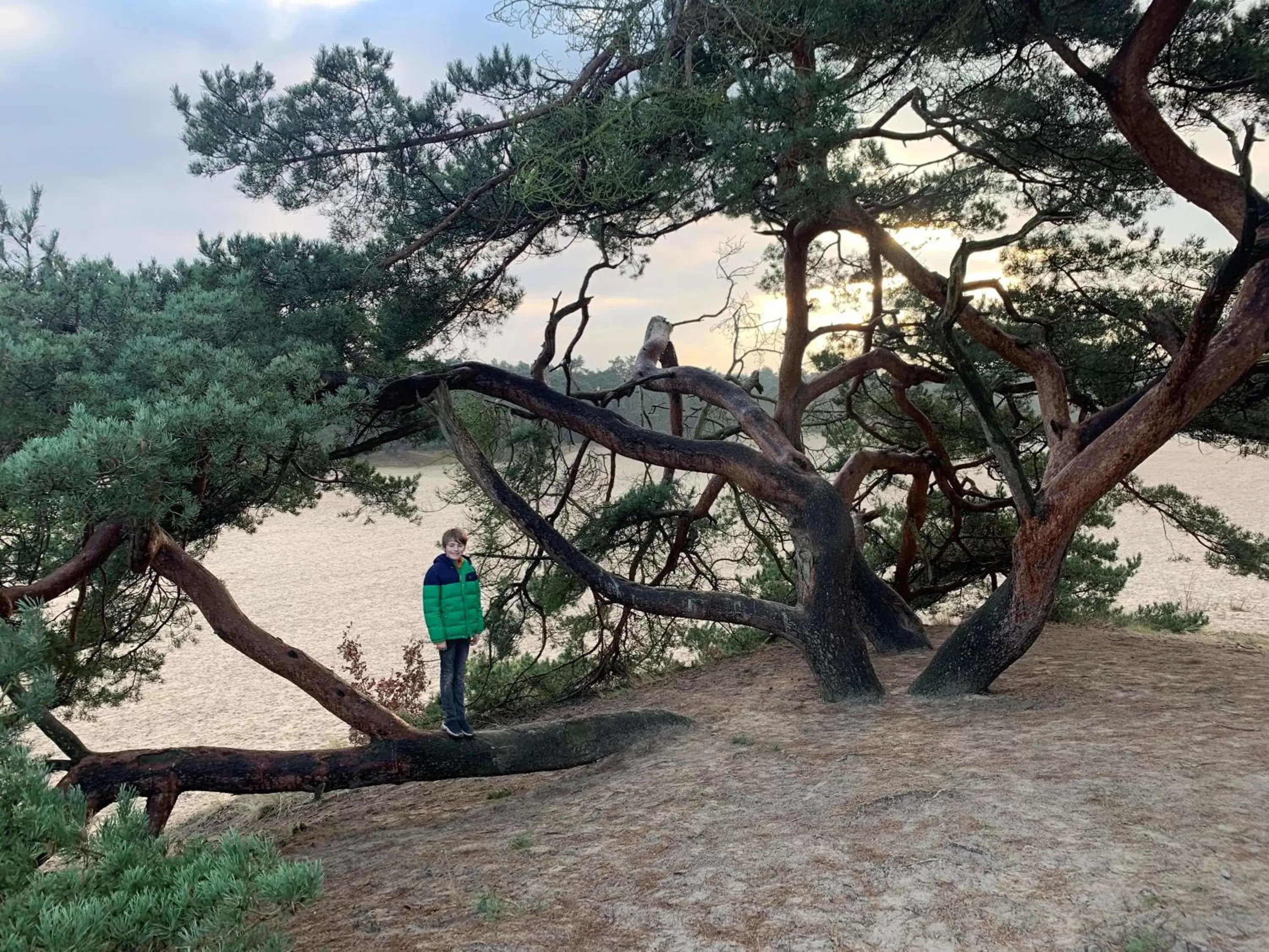 Natural landscape in Duynparc Soest