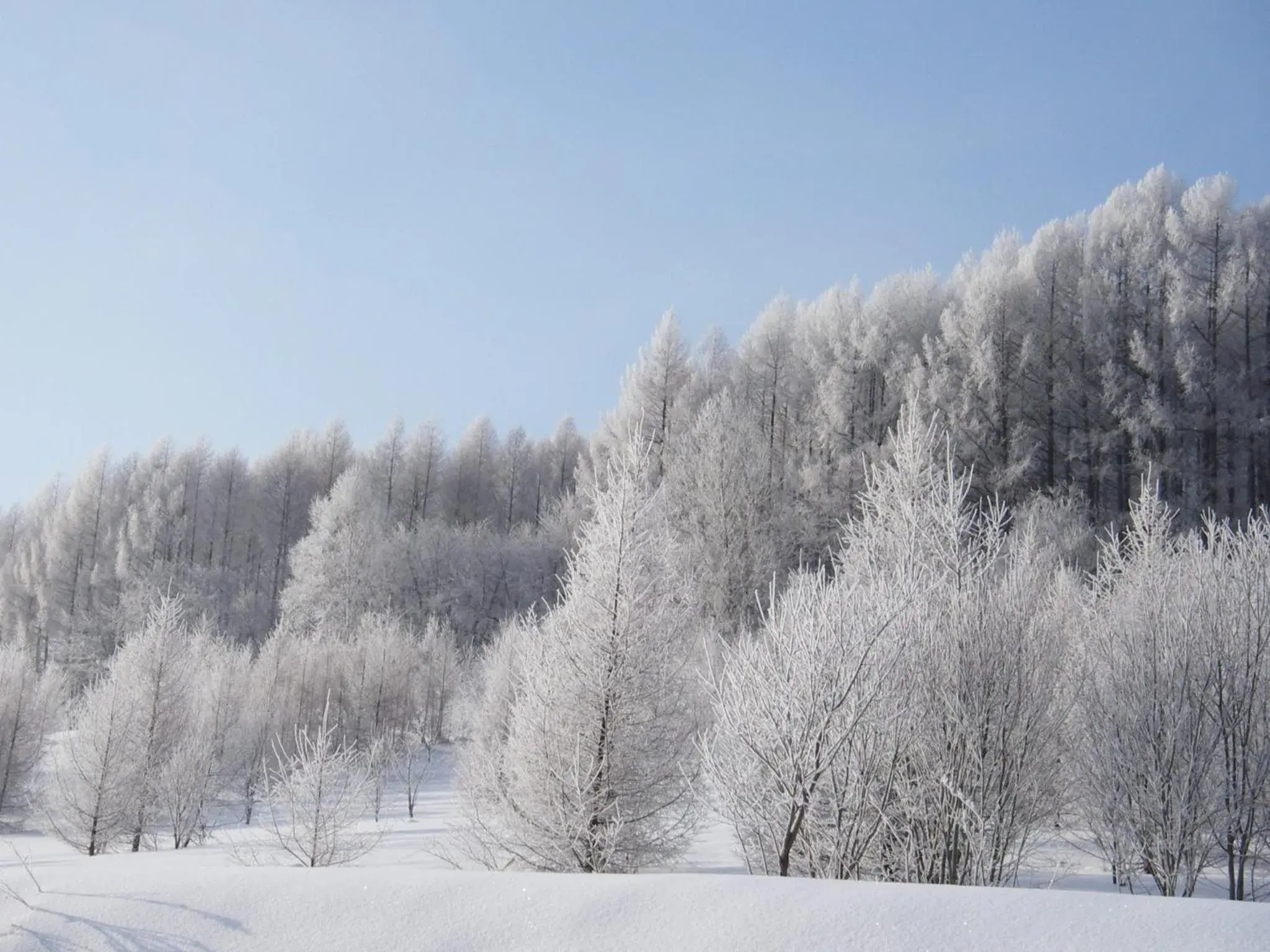 Winter in Pension Hoshi Ni Negaiwo