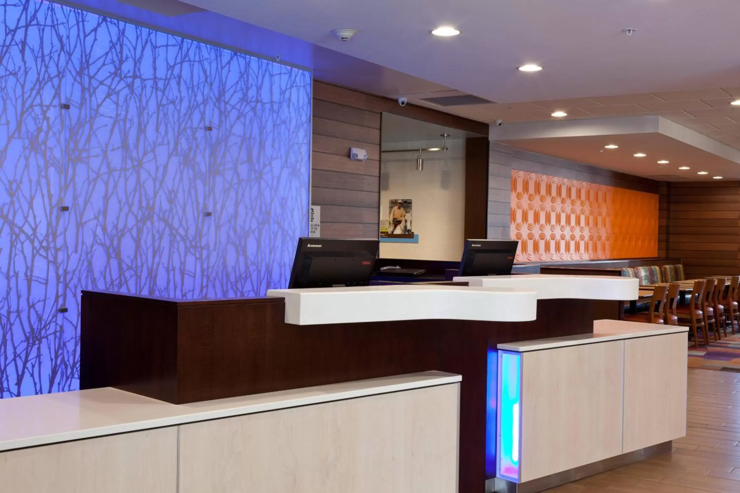 Lobby or reception, Lobby/Reception in Fairfield Inn & Suites by Marriott Ithaca