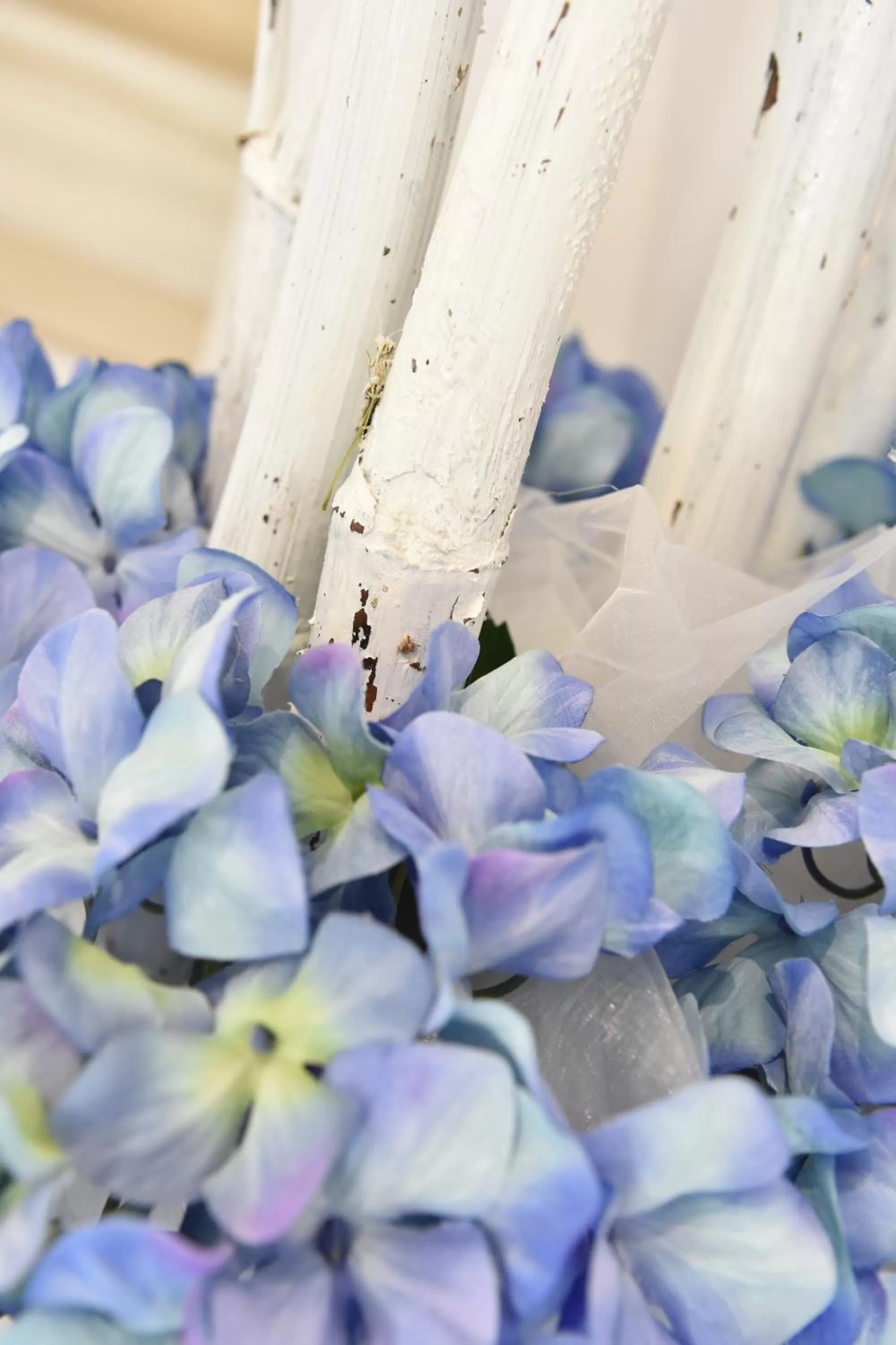 Lobby or reception in Finestre sul Borgo