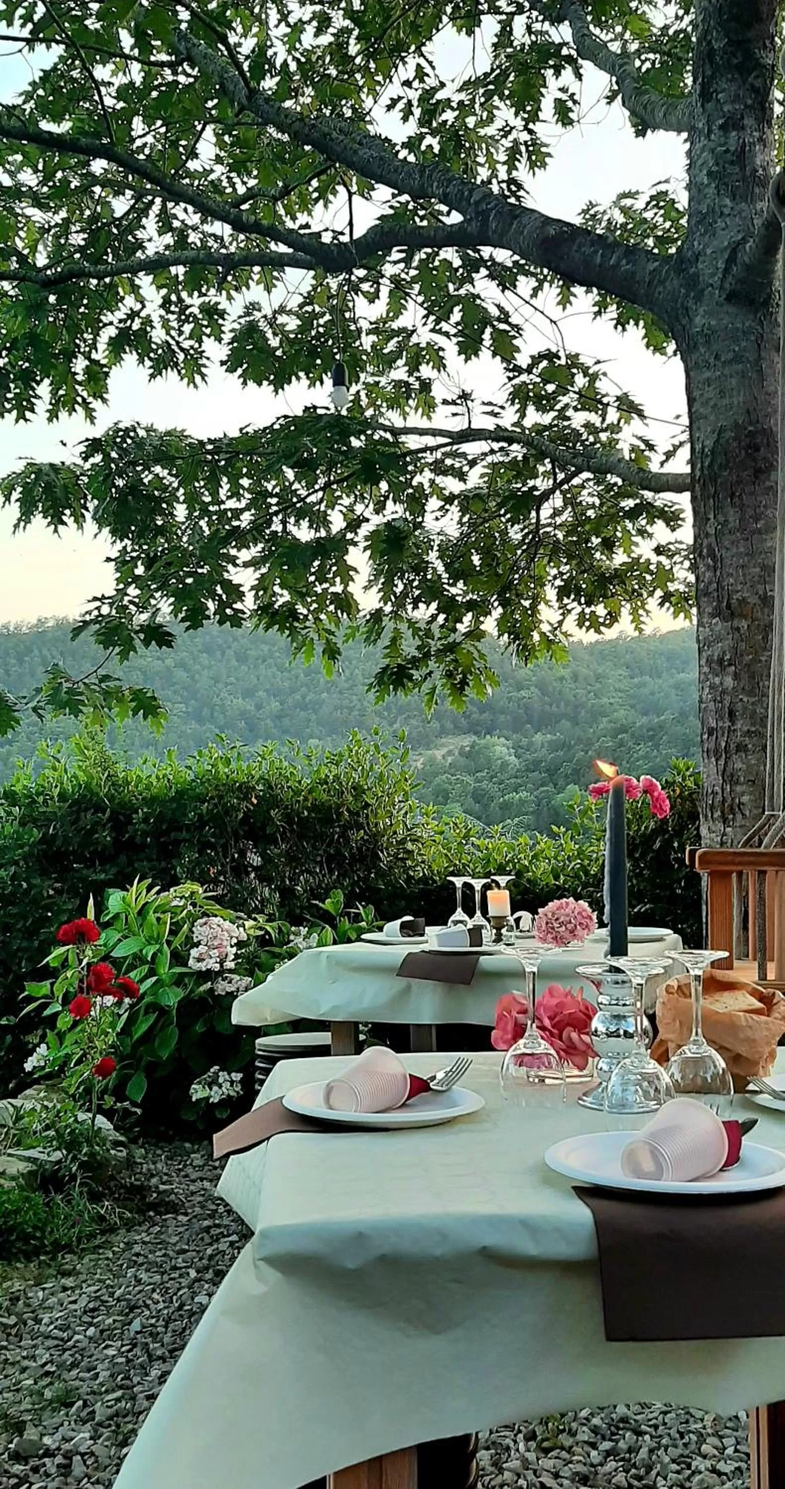 Restaurant/Places to Eat in B&B degli Allori