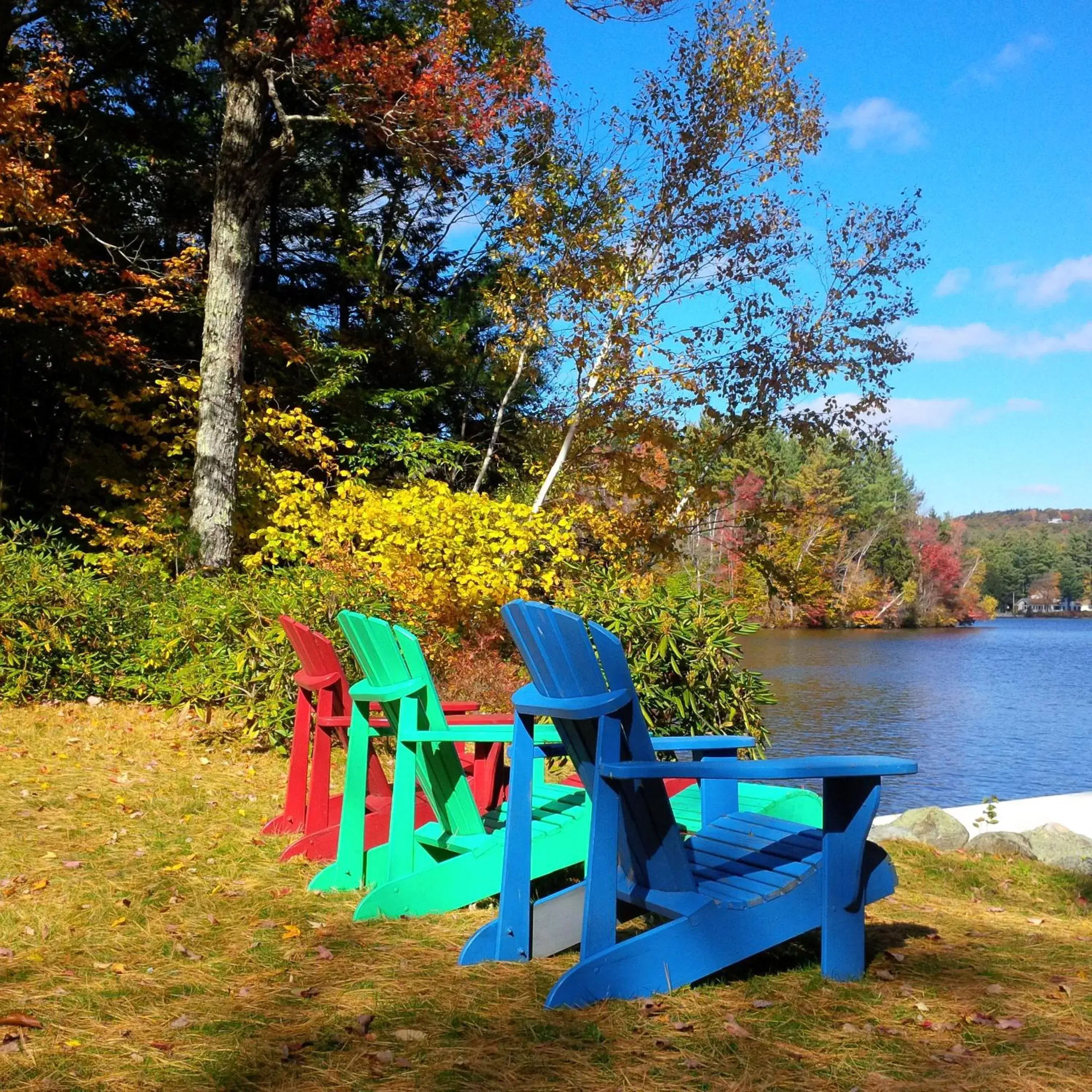 Maple Hill Farm Bed & Breakfast