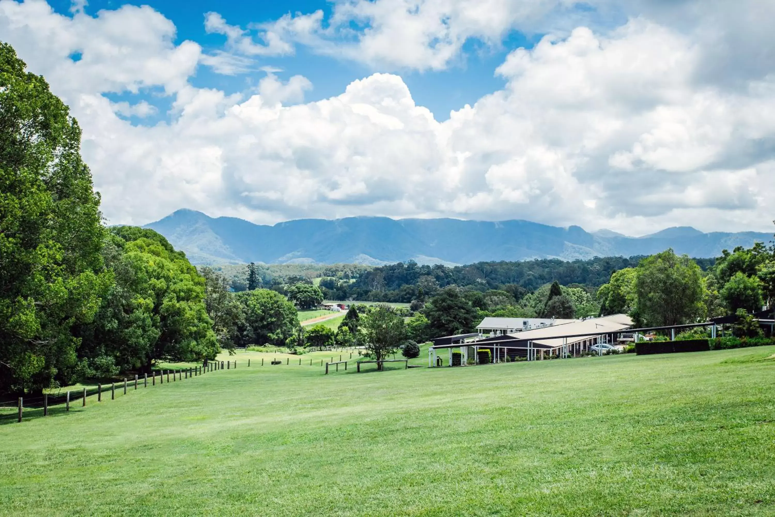 The Lodge Bellingen