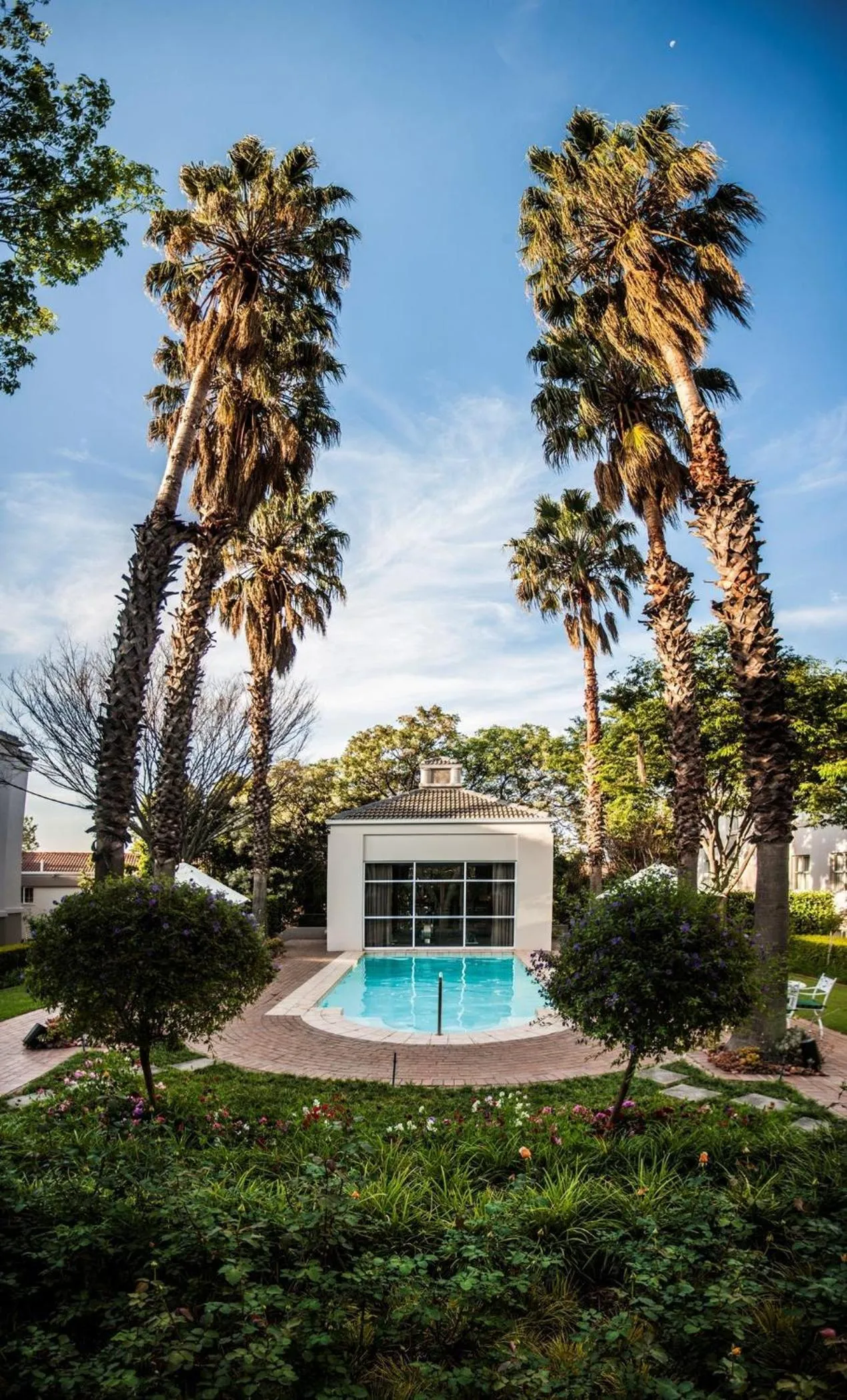 Garden in Garden Court Morningside Sandton