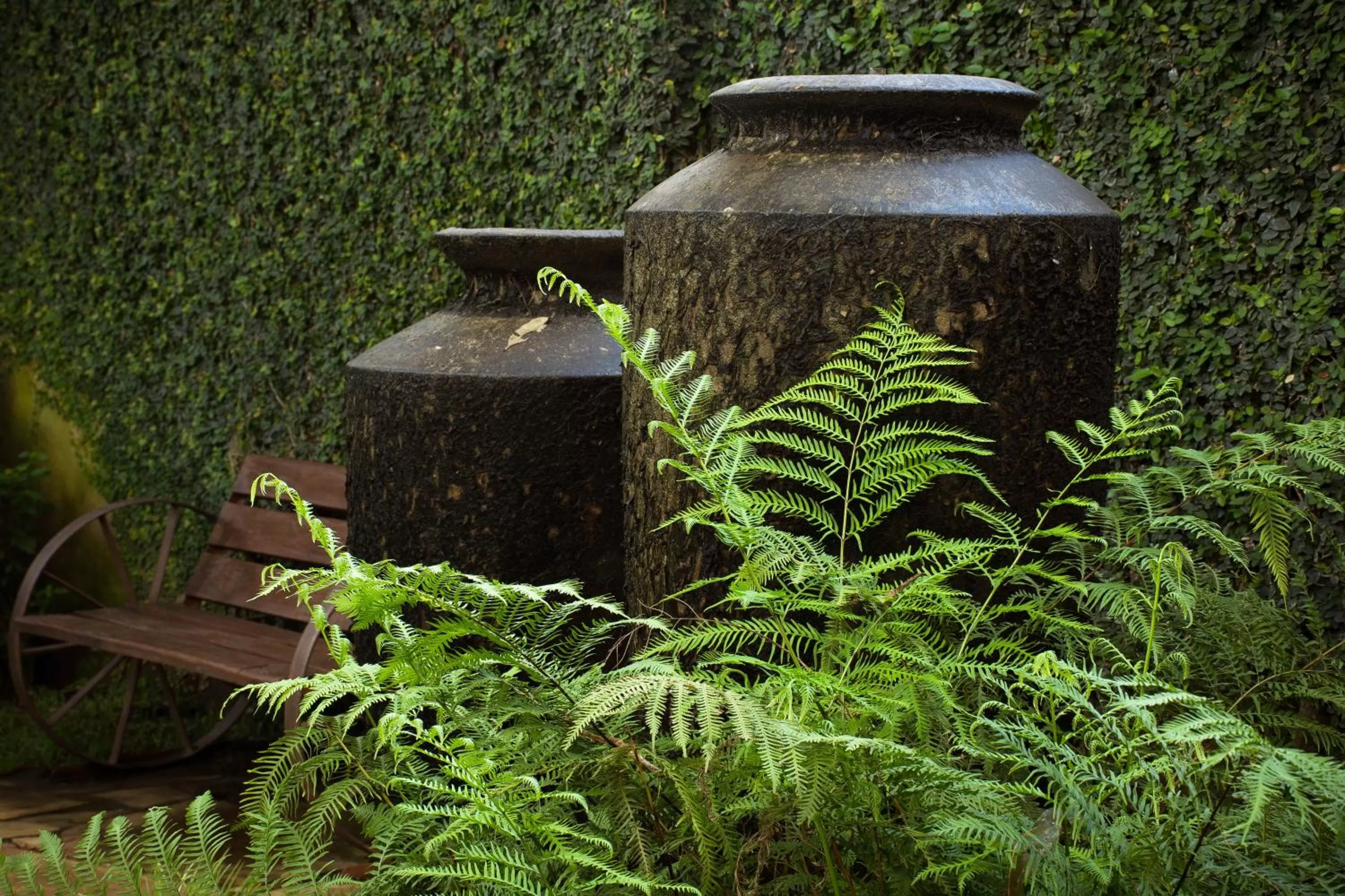 Garden in Zawadi House Lodge