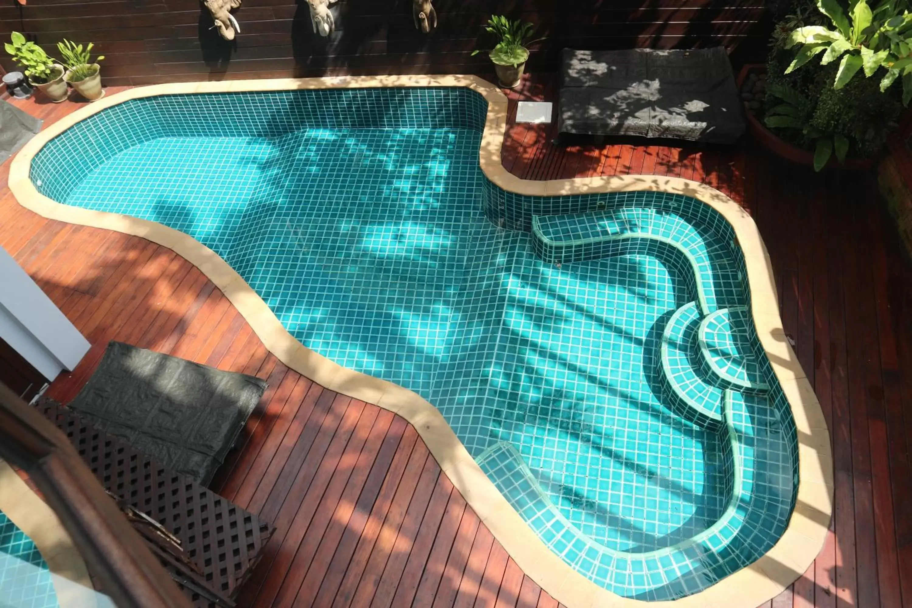 Swimming pool, Pool View in Rich Lanna House