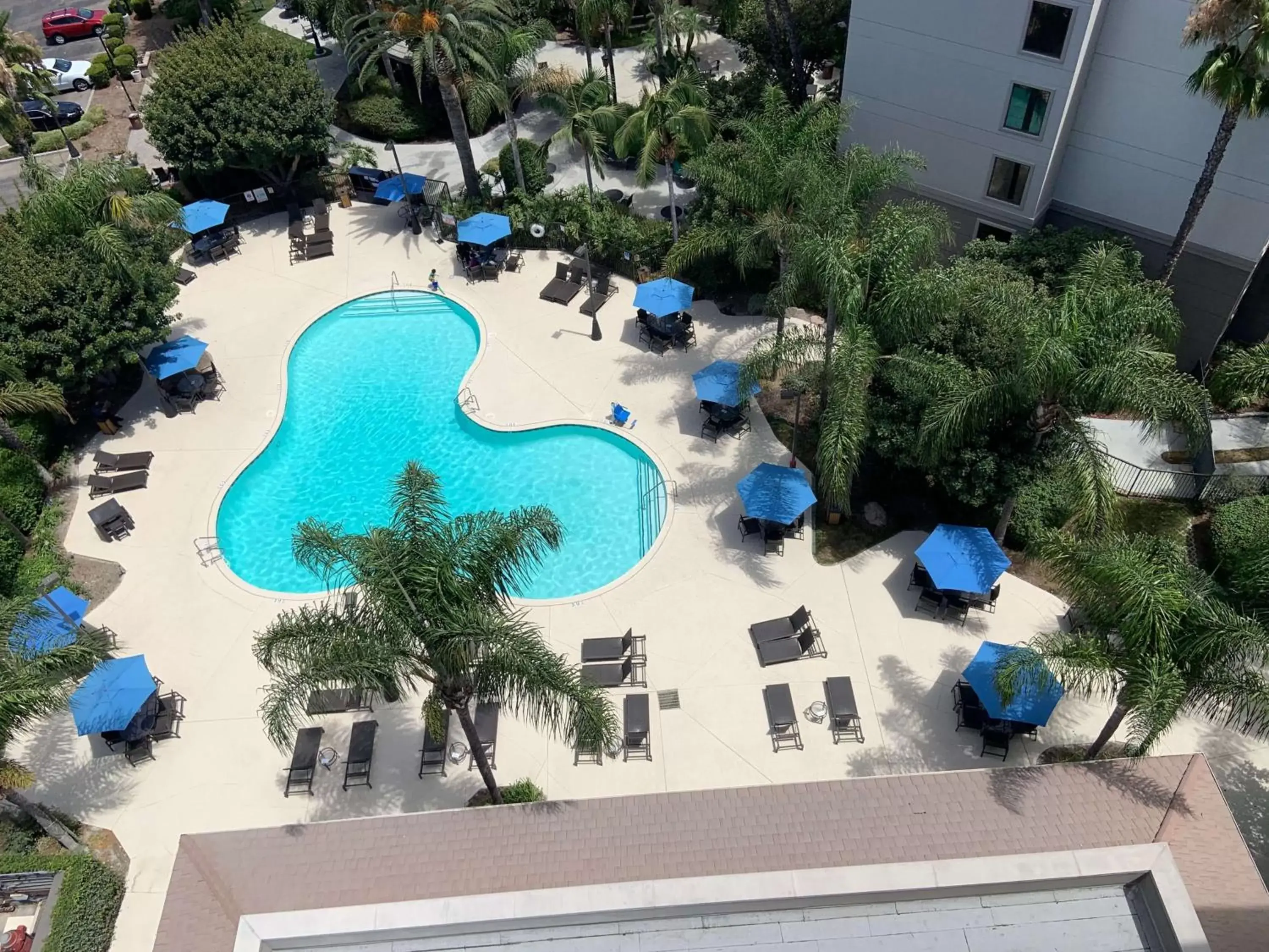 Activities, Pool View in Sonesta Anaheim Resort Area
