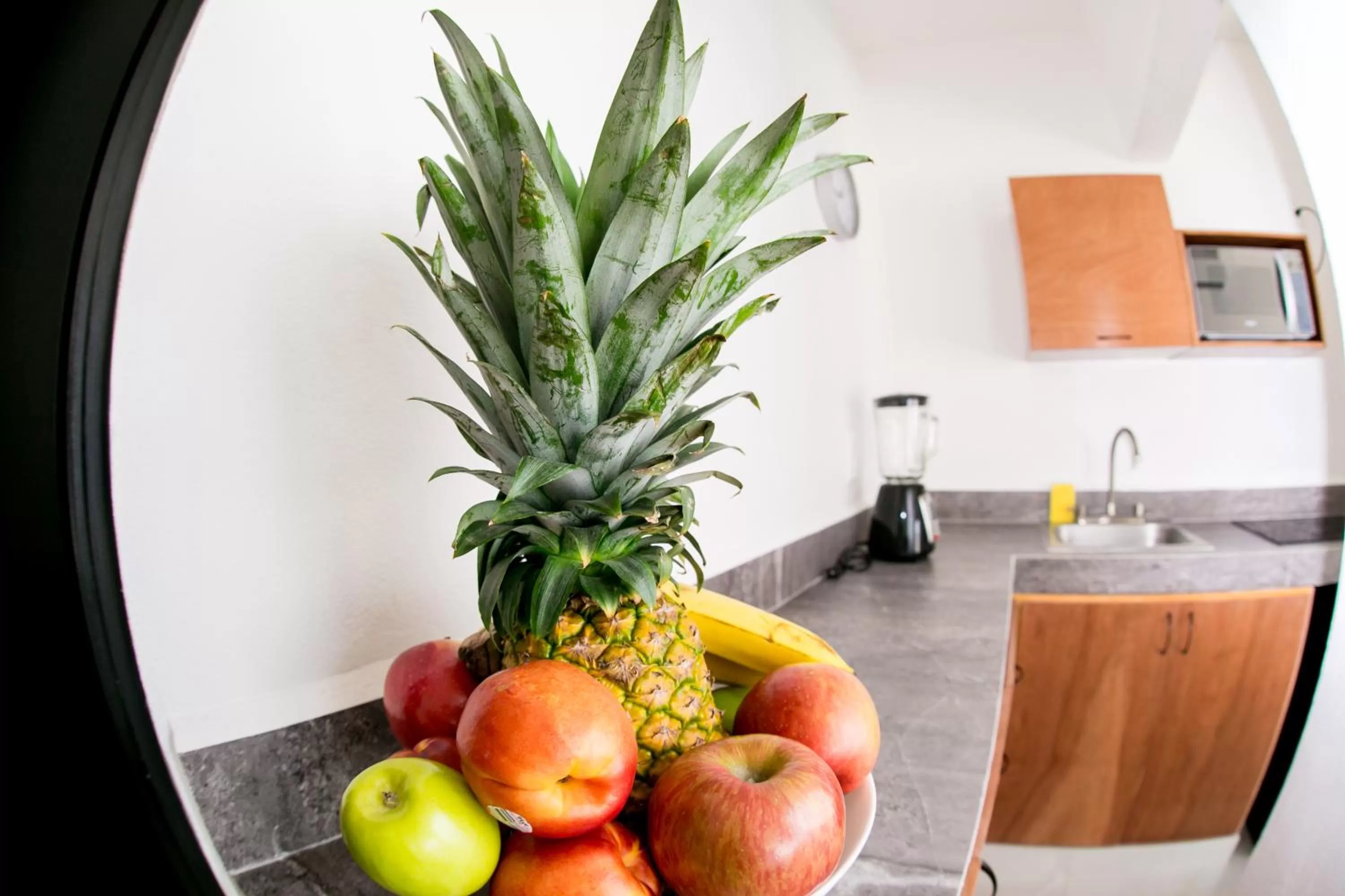 Breakfast, Food in Maui hostel playa del carmen