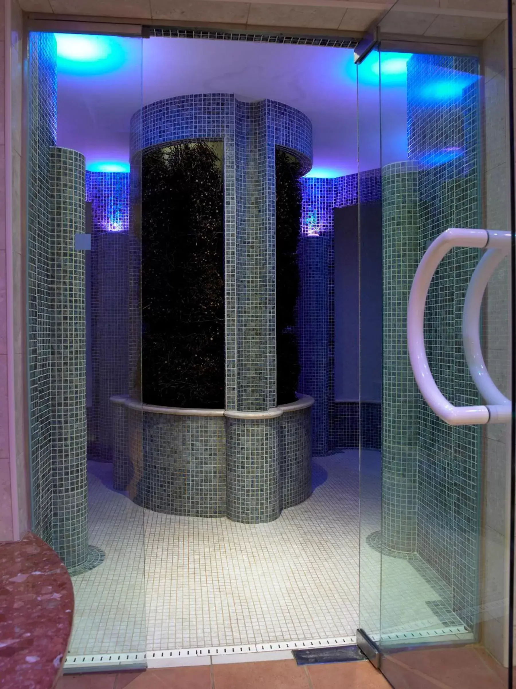 Spa and wellness centre/facilities, Spa/Wellness in The Brehon Hotel & Spa