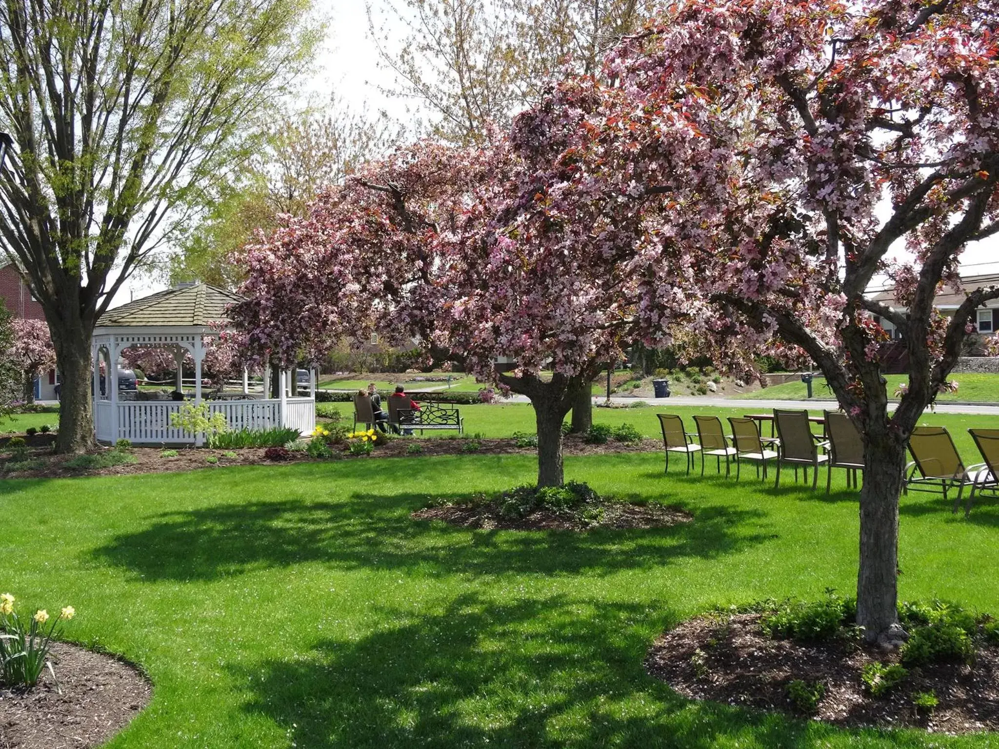 Street view in Travelers Rest Motel Street view in Travelers Rest Motel